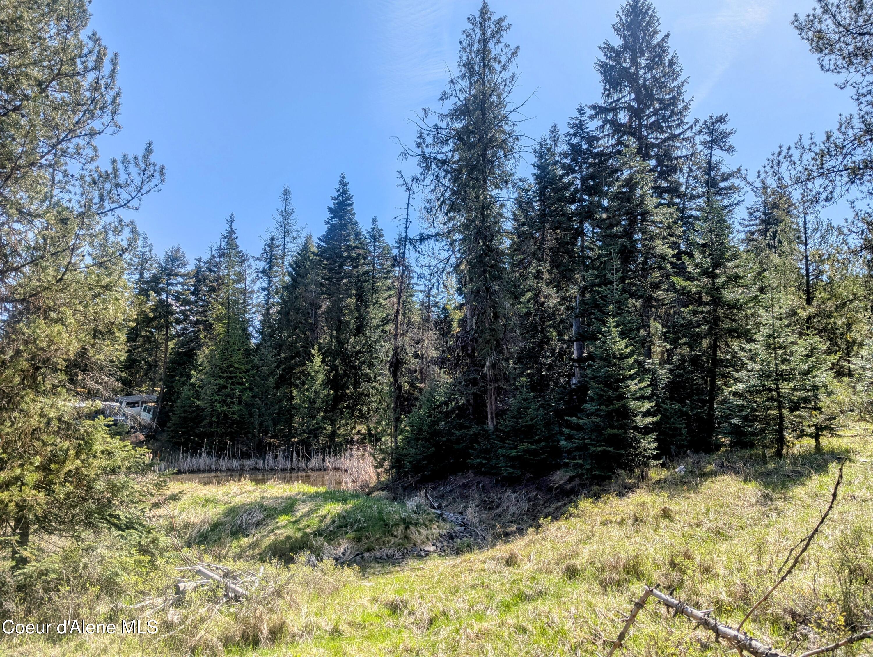 NKA Sheep Creek Rd, Santa, Alaska image 3