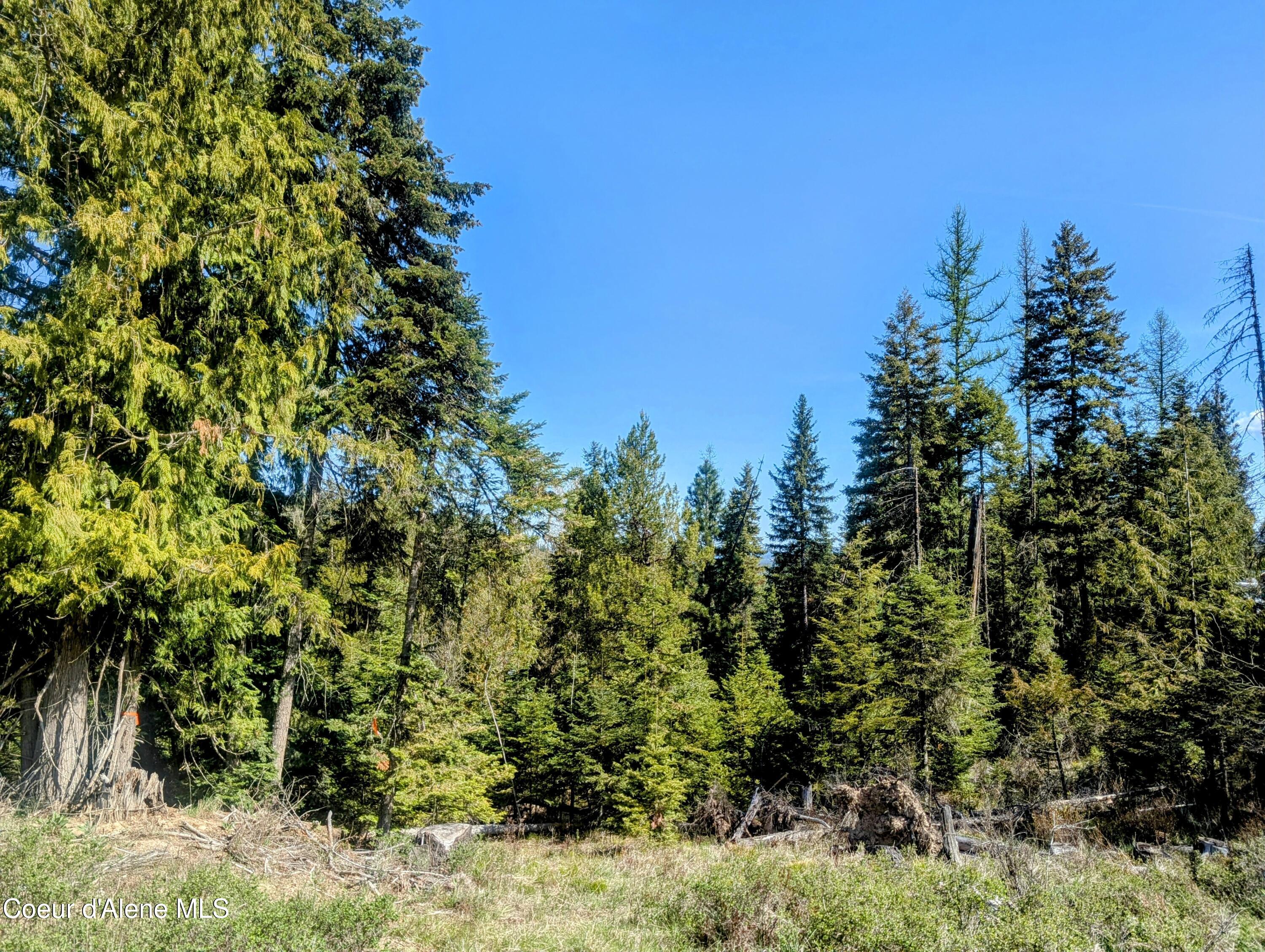 NKA Sheep Creek Rd, Santa, Alaska image 9