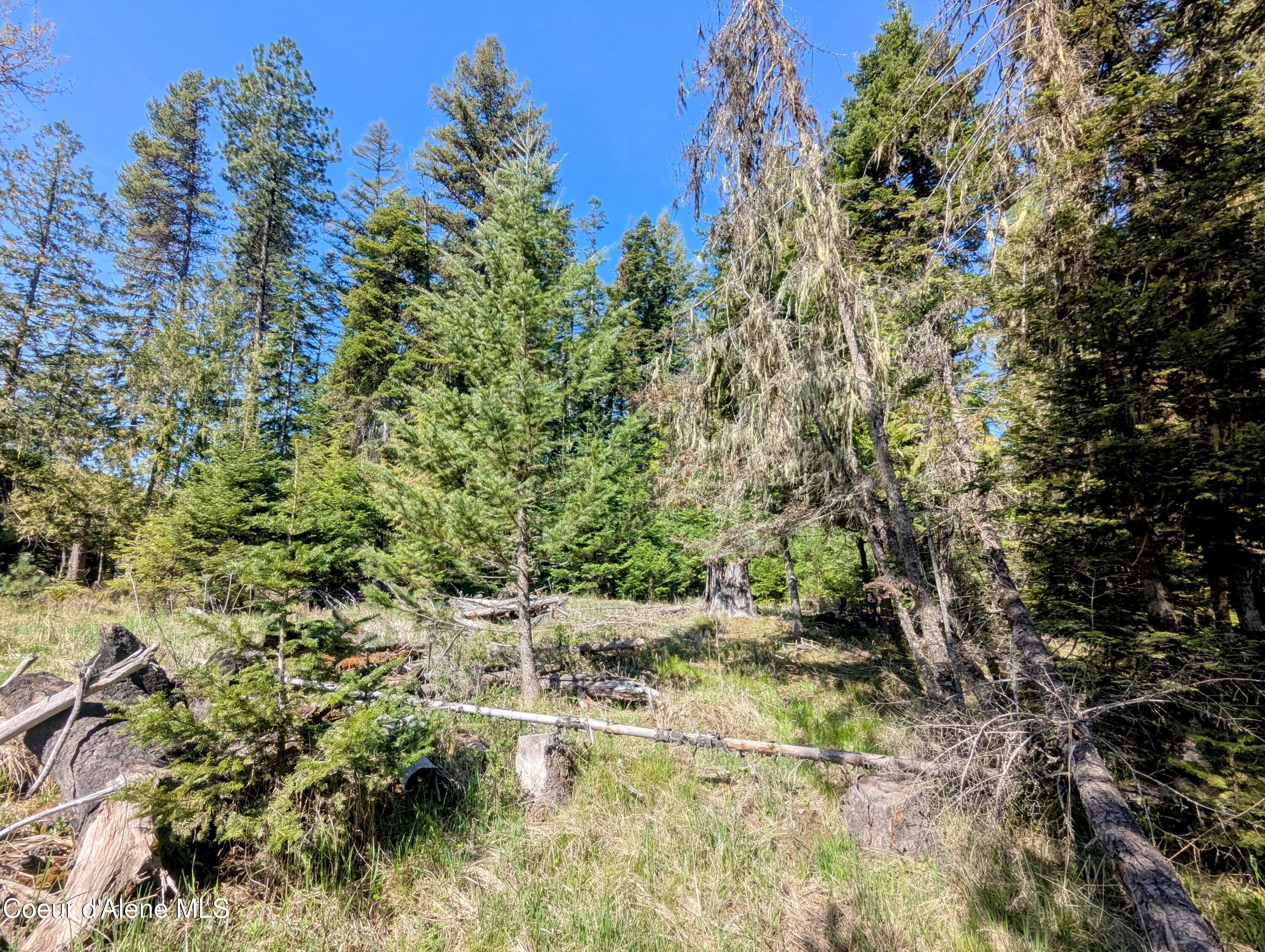 NKA Sheep Creek Rd, Santa, Alaska image 15