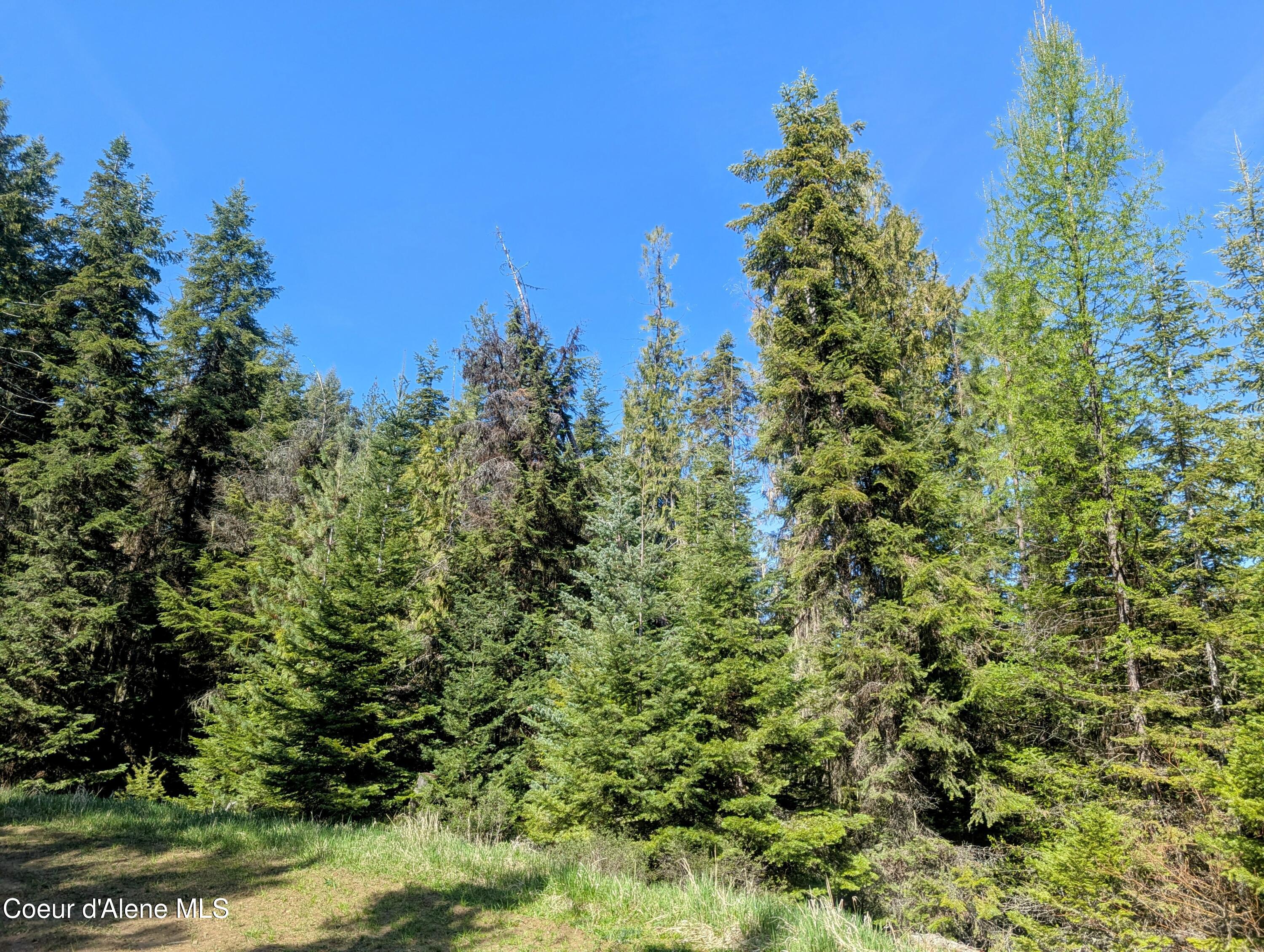 NKA Sheep Creek Rd, Santa, Alaska image 16