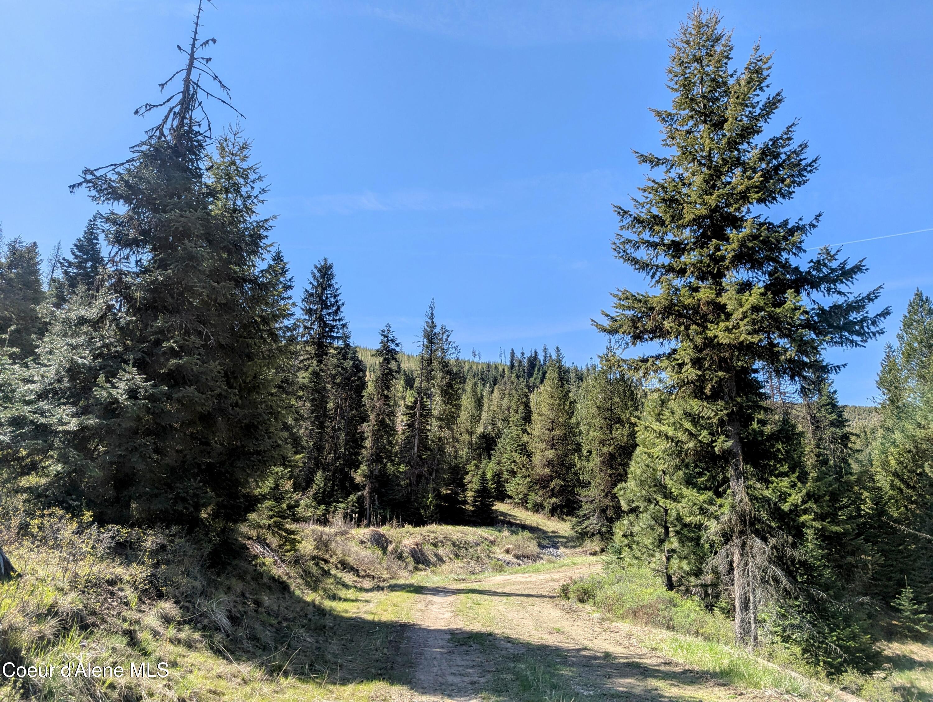 NKA Sheep Creek Rd, Santa, Alaska image 5