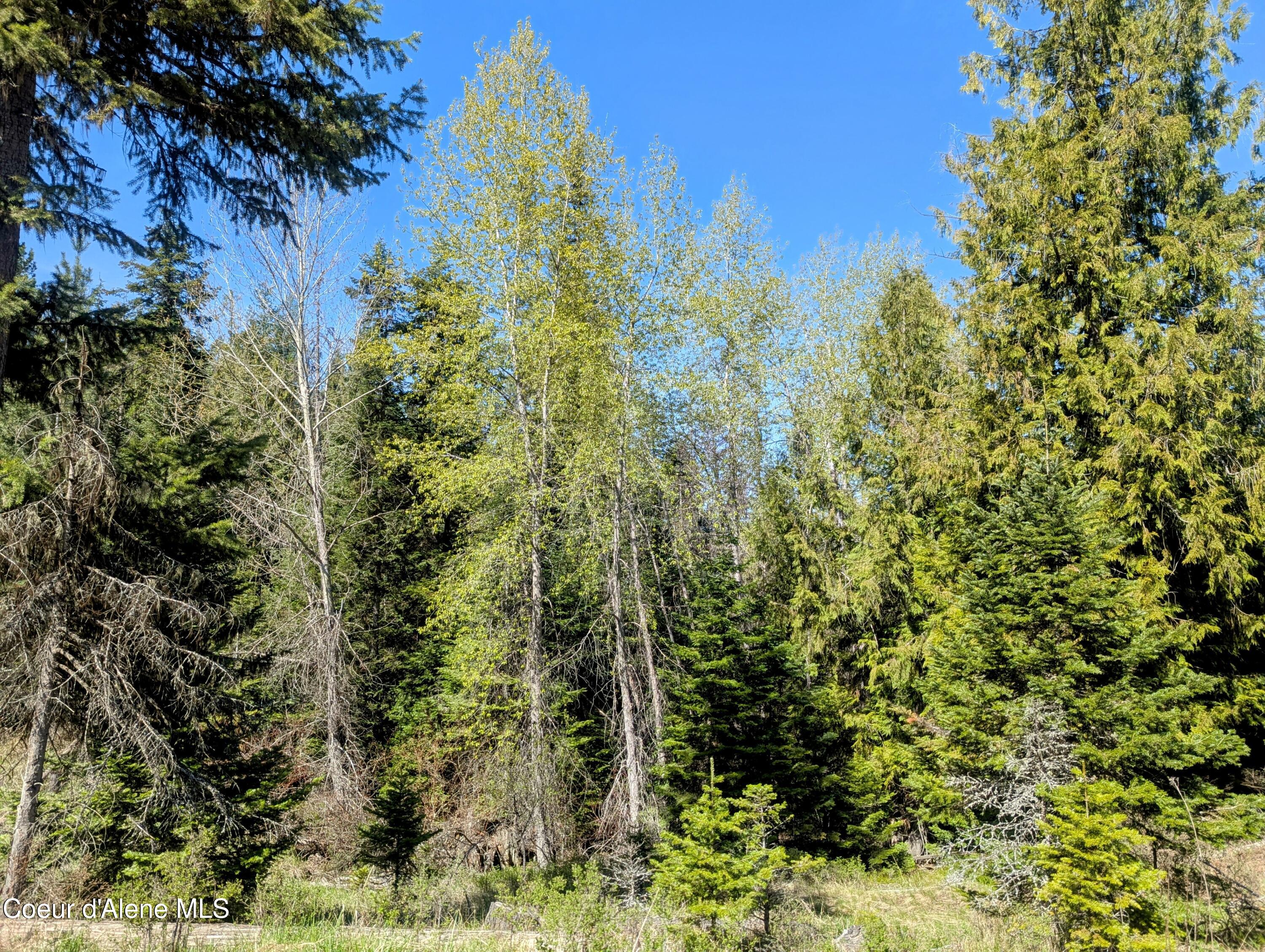 NKA Sheep Creek Rd, Santa, Alaska image 4