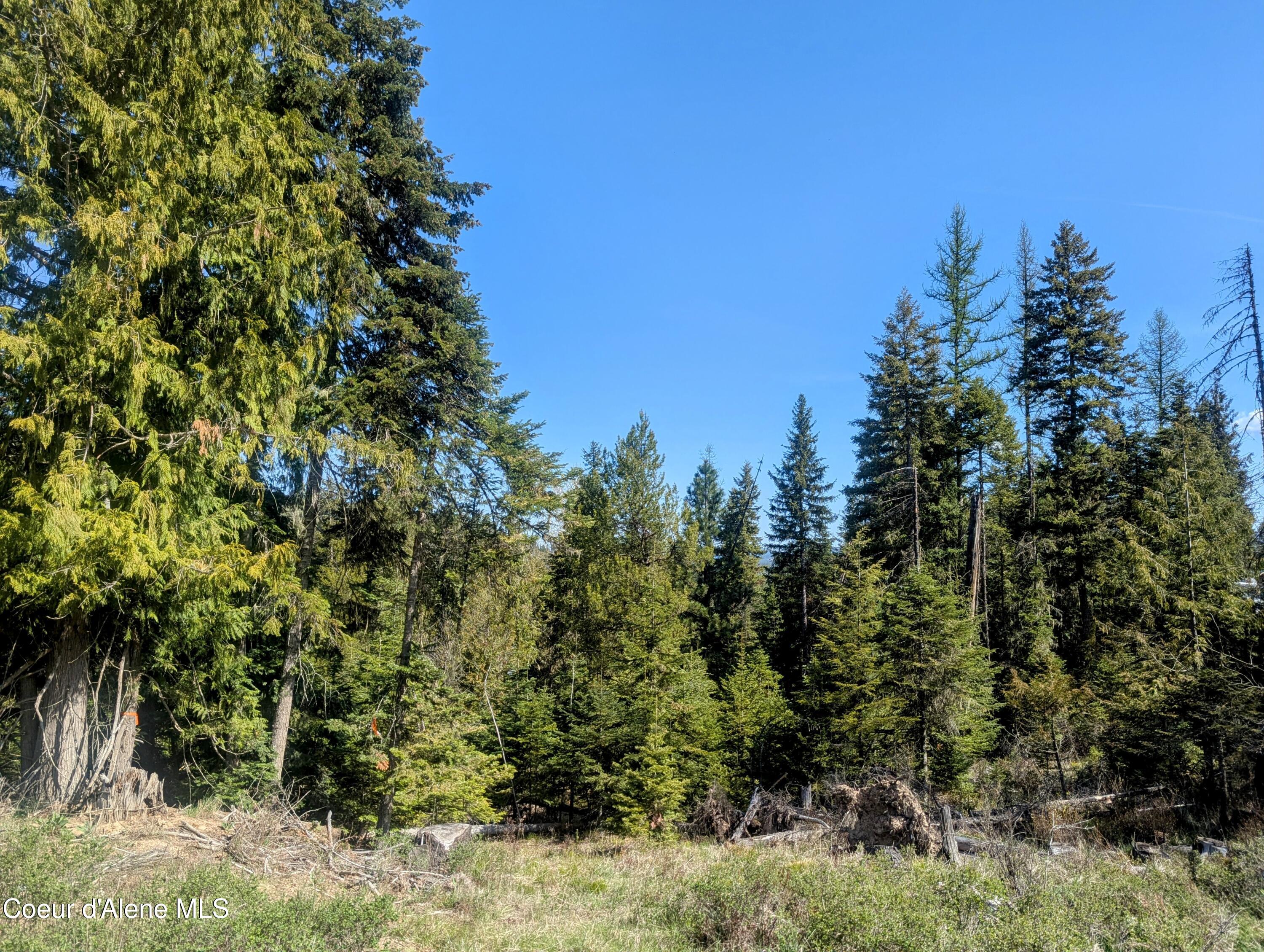 NKA Sheep Creek Rd, Santa, Alaska image 12