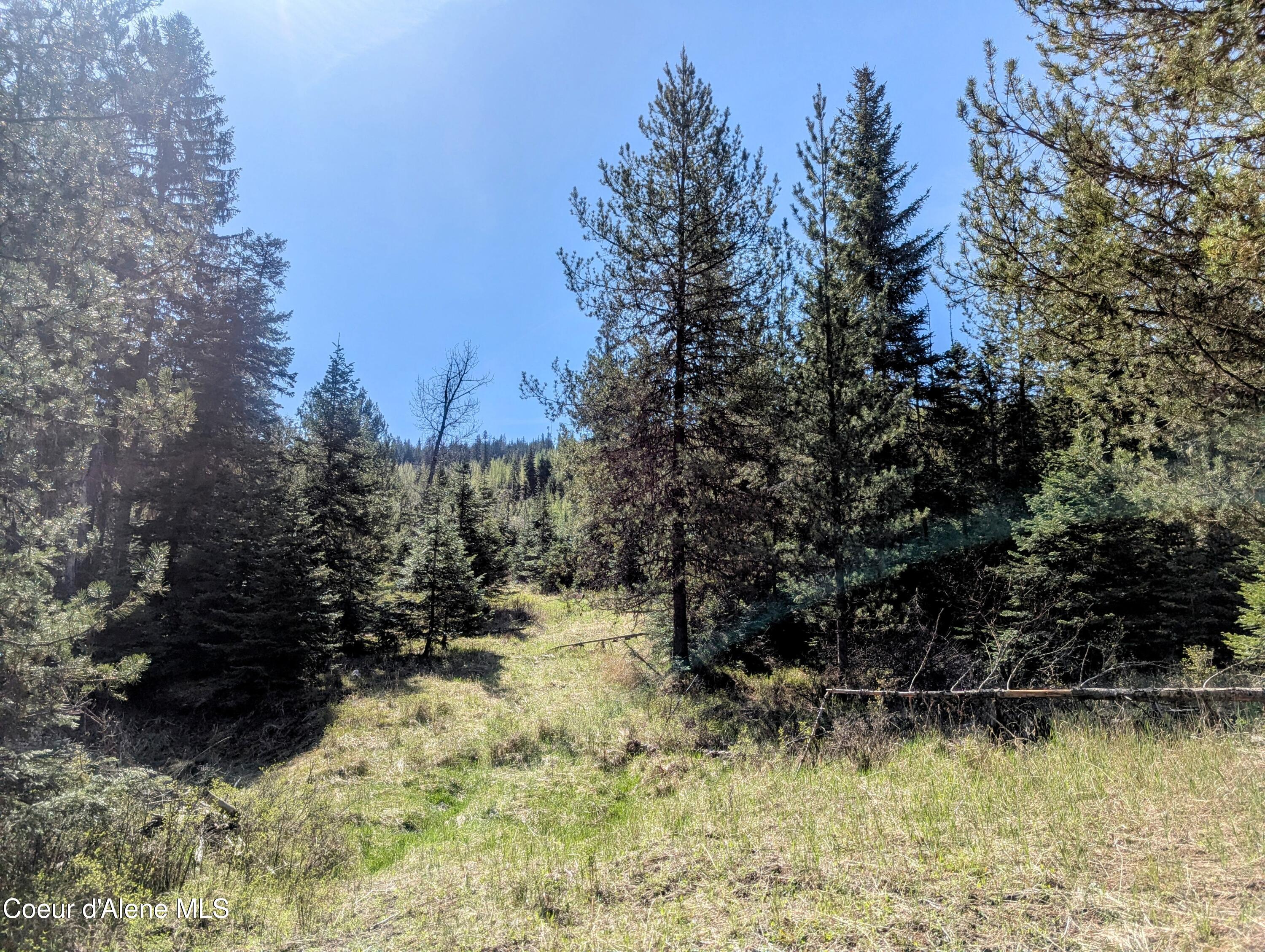 NKA Sheep Creek Rd, Santa, Alaska image 10