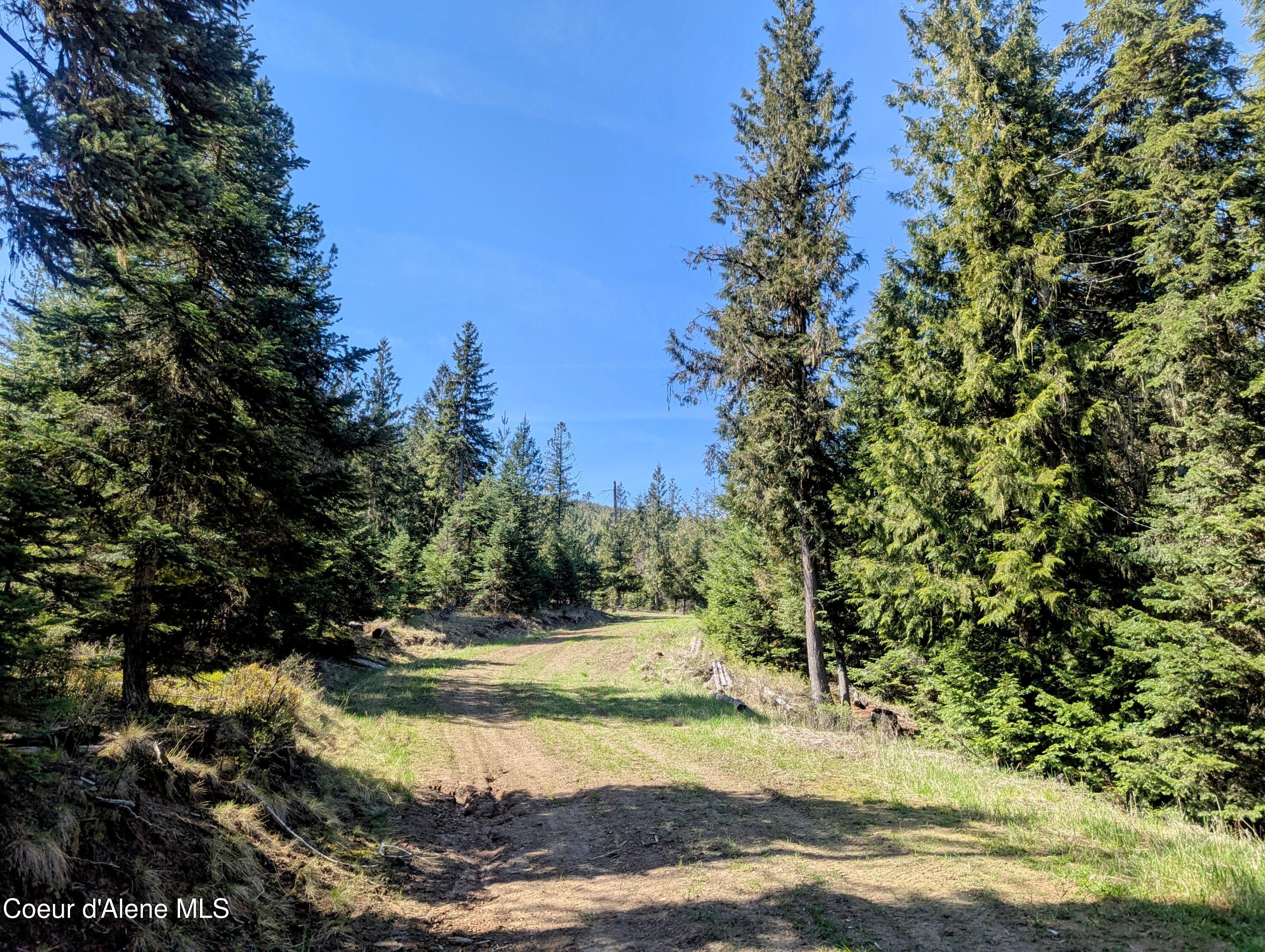 NKA Sheep Creek Rd, Santa, Alaska image 17