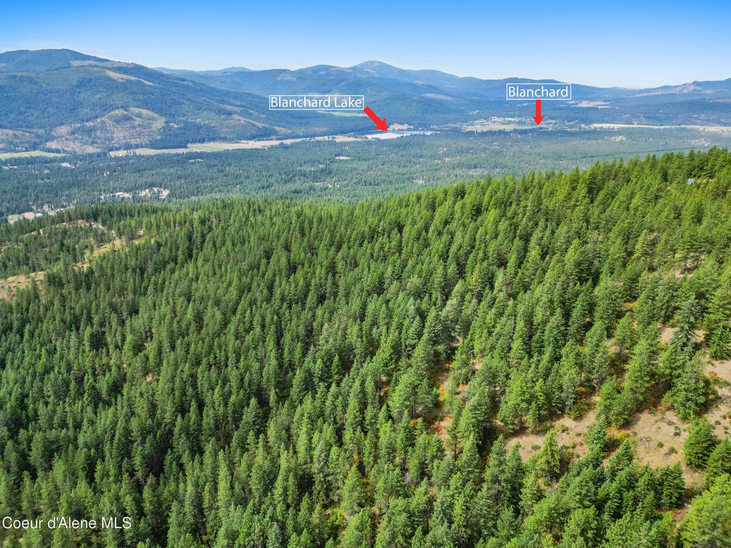 Photo of NNA USFS 2550 (40 acres), Blanchard, ID 83804 (MLS # 26-7725)