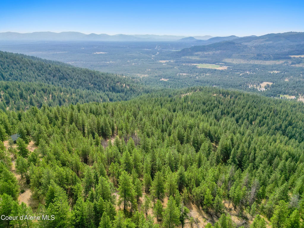 Photo of NNA USFS 2550 (40 acres), Blanchard, ID 83804 (MLS # 26-7725)