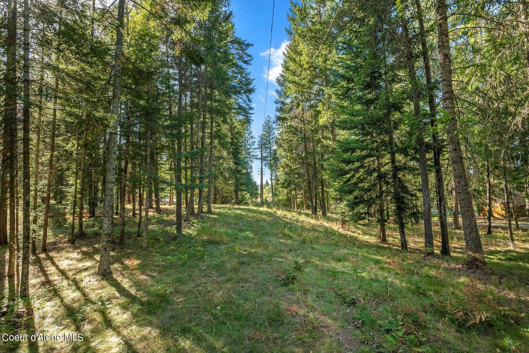 437 Sailors Ln, Priest River, Idaho image 35