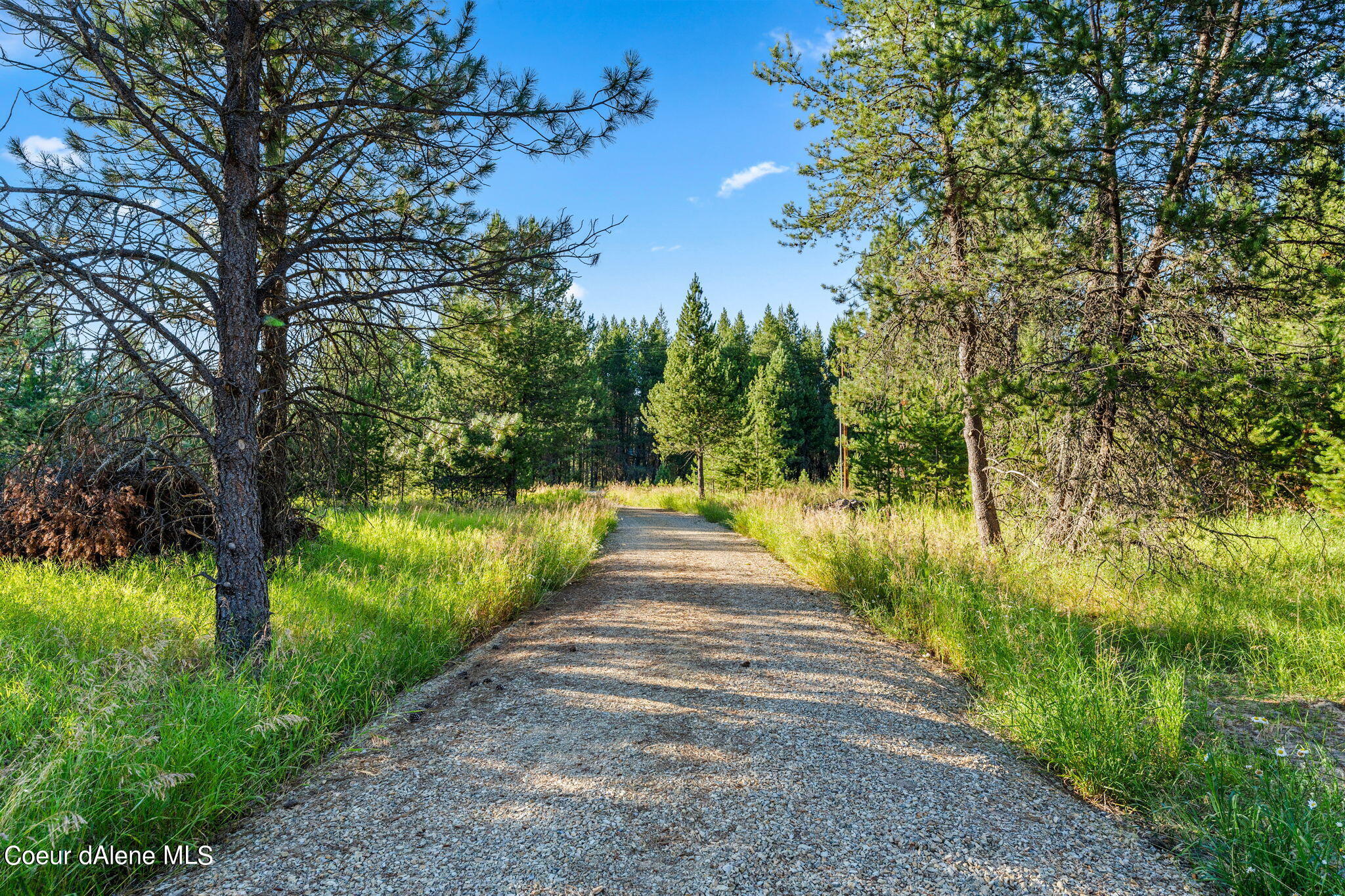 NNA Kenny Lane, Priest River, Idaho image 7