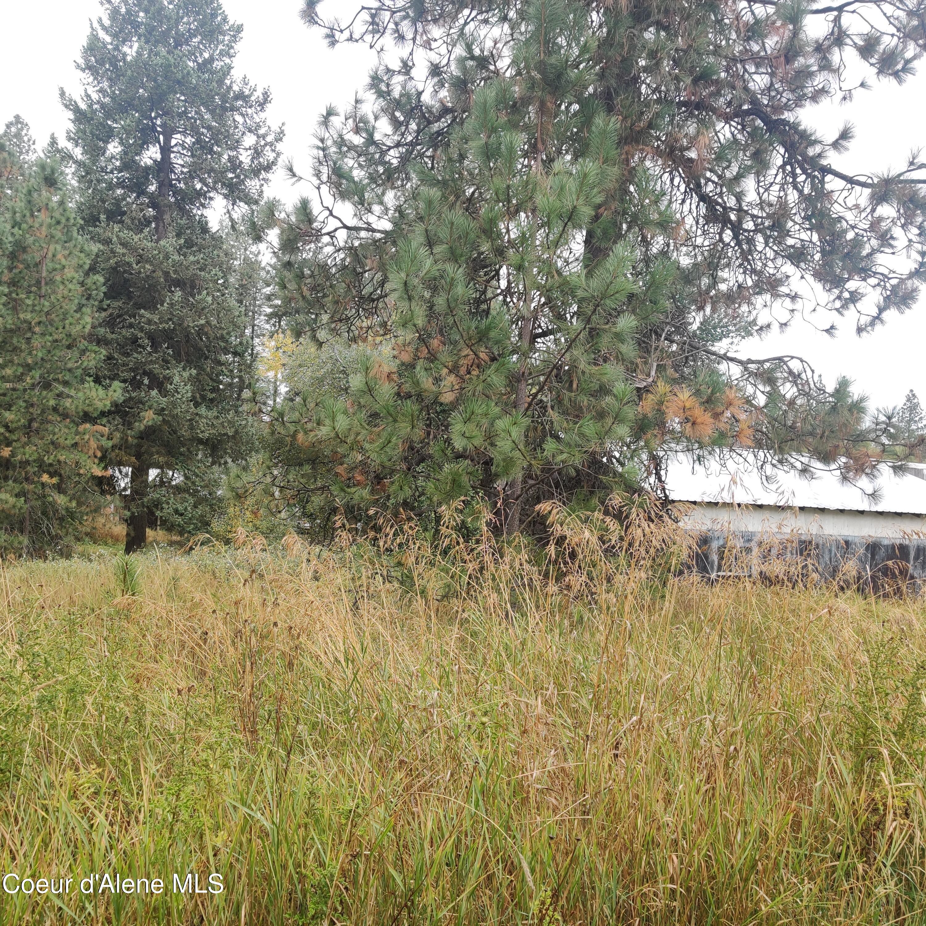 Lot 11 F St, Plummer, Idaho image 4