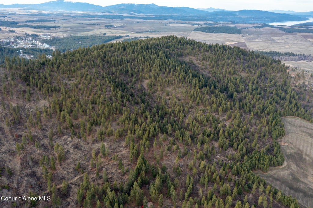Photo of LOT 3, Worley, ID 83876 (MLS # 26-8368)