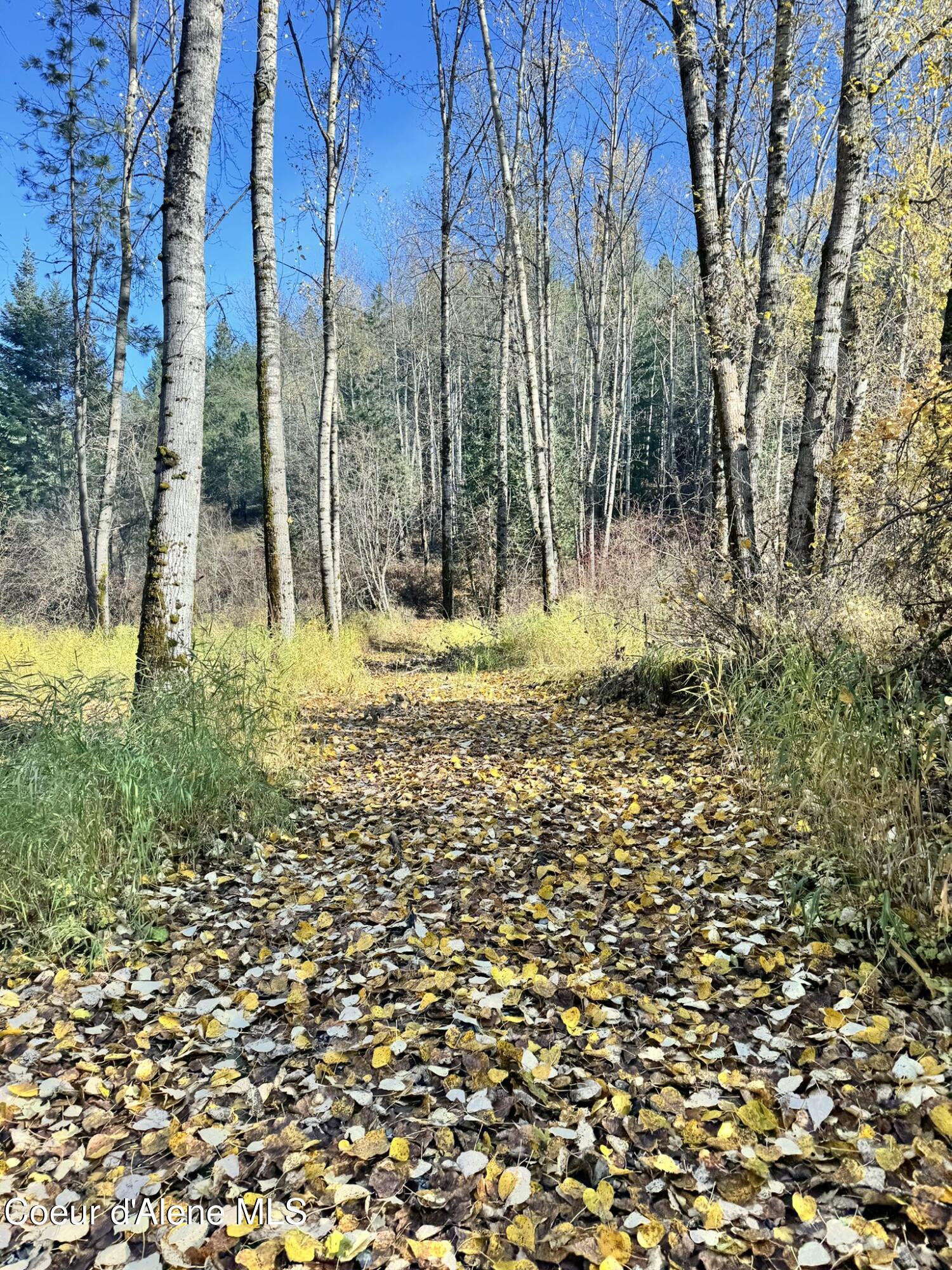 10.91ac French Gulch Rd, Kingston, Idaho image 7