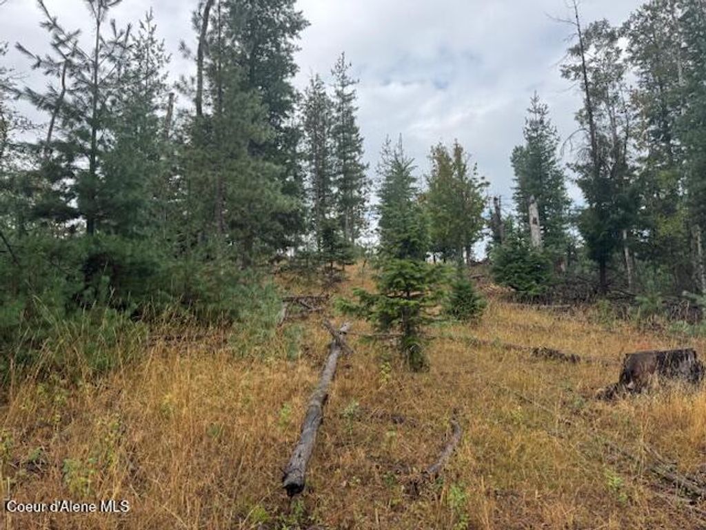 Photo of NKA Parcel B, Pinehurst, ID 83850 (MLS # 25-9895)