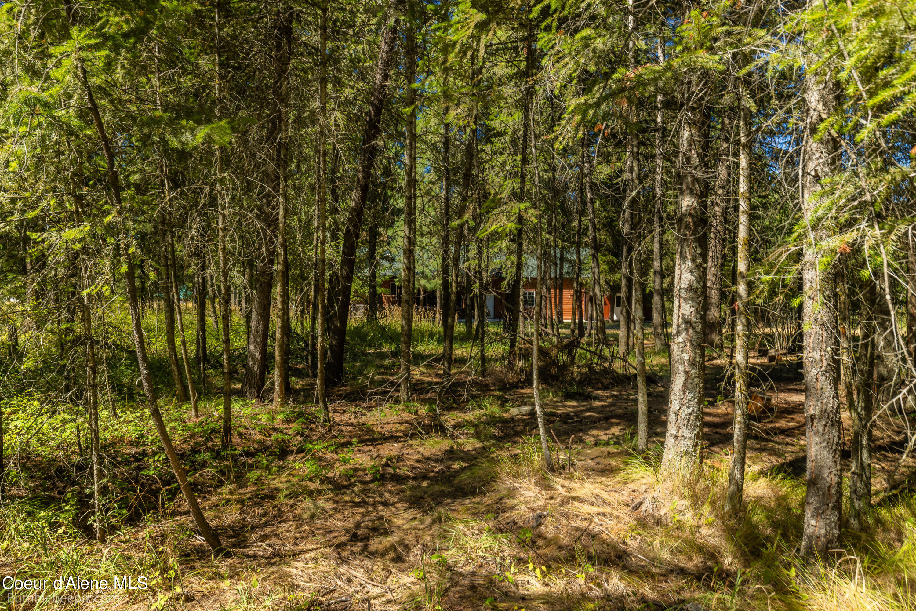 Moyie Springs, Idaho 83845, United States, 5 Bedrooms Bedrooms, ,3 BathroomsBathrooms,Residential,Pending,49904