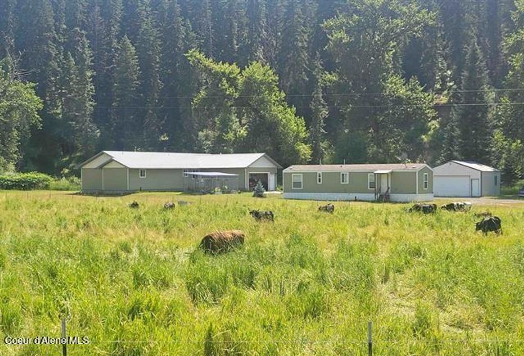 Photo of 437 Clearcreek Rd, Kooskia, ID 83539 (MLS # 26-1466)