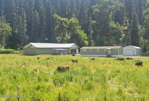Photo of 437 Clearcreek Rd, Kooskia, ID 83539 (MLS # 26-1466)