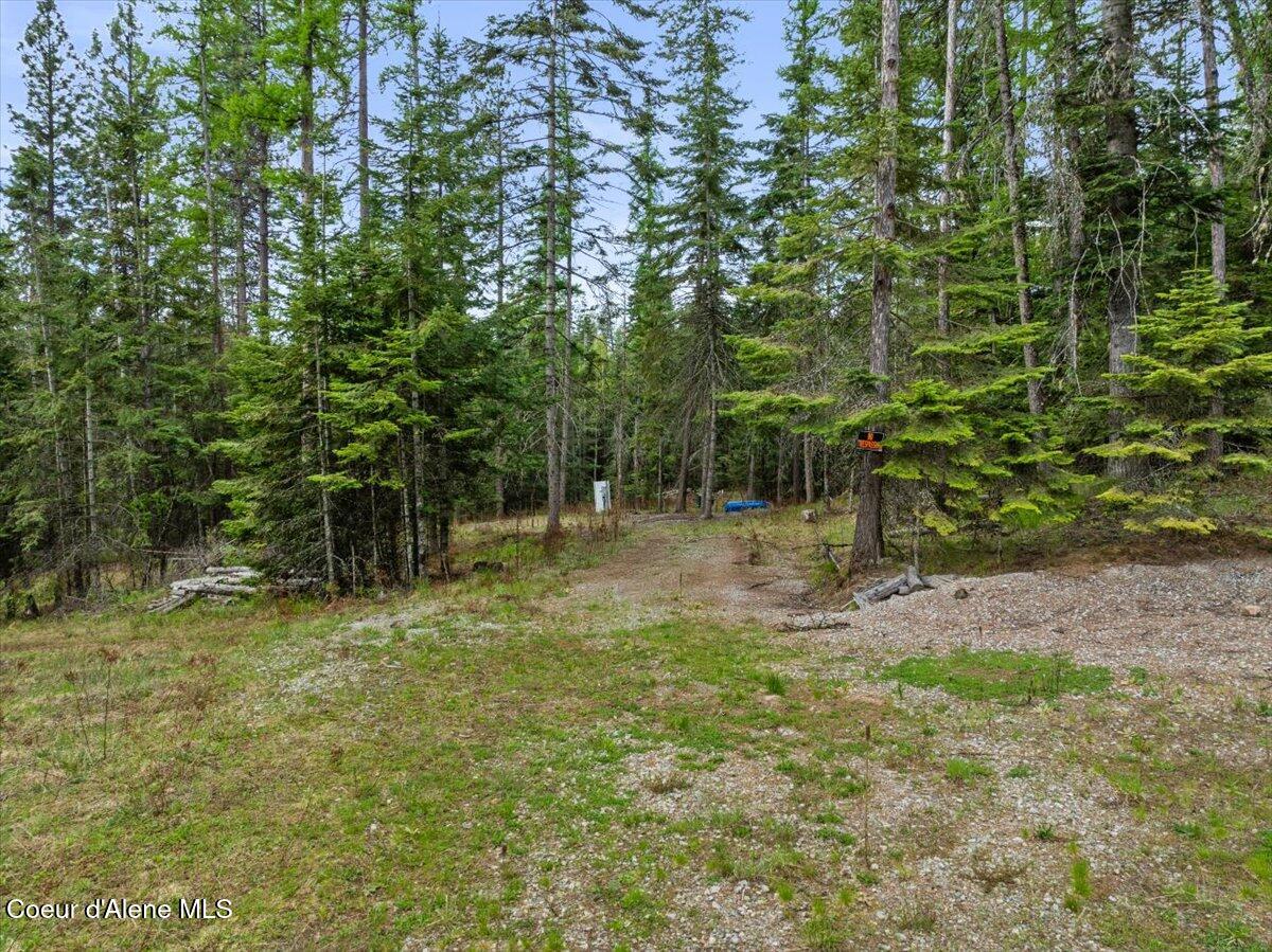 TWO 5 ACRE LOTS ON AMETHYST