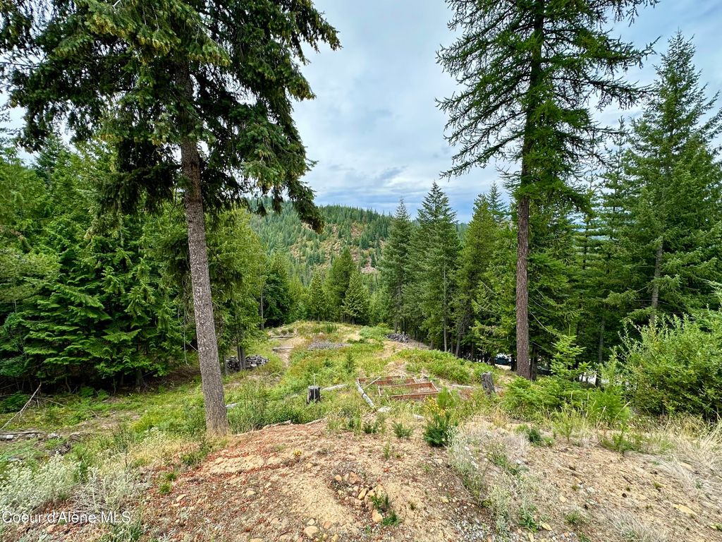 Photo of 625 Fork French Gulch, Kingston, ID 83839 (MLS # 26-4111)
