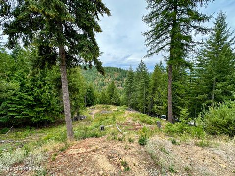 Vacant Land For Sale - 625 Fork French Gulch Rd<br/> Shoshone County, Kingston, ID 83839