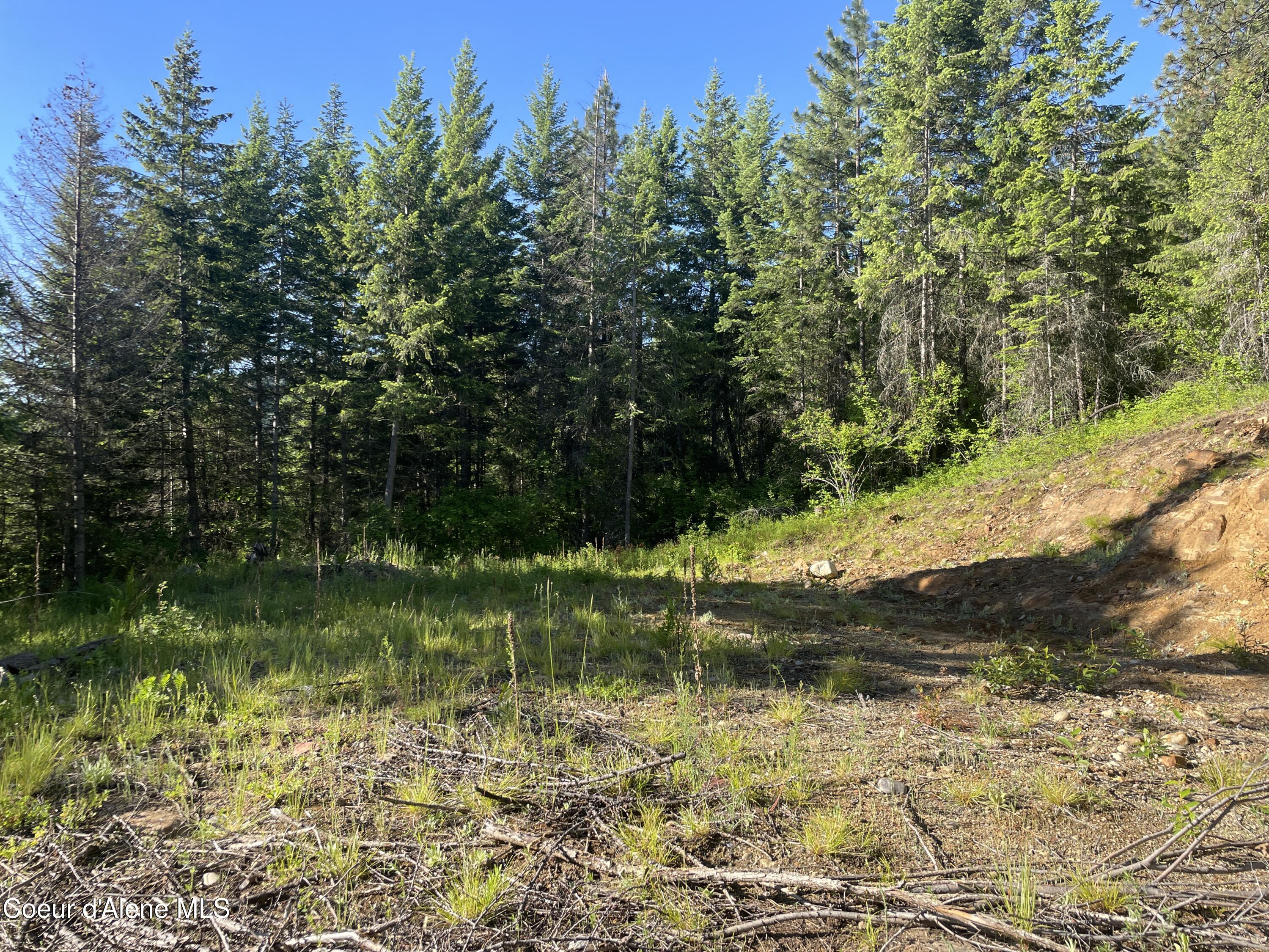 330 Living Waters Way, Priest River, Pennsylvania image 9