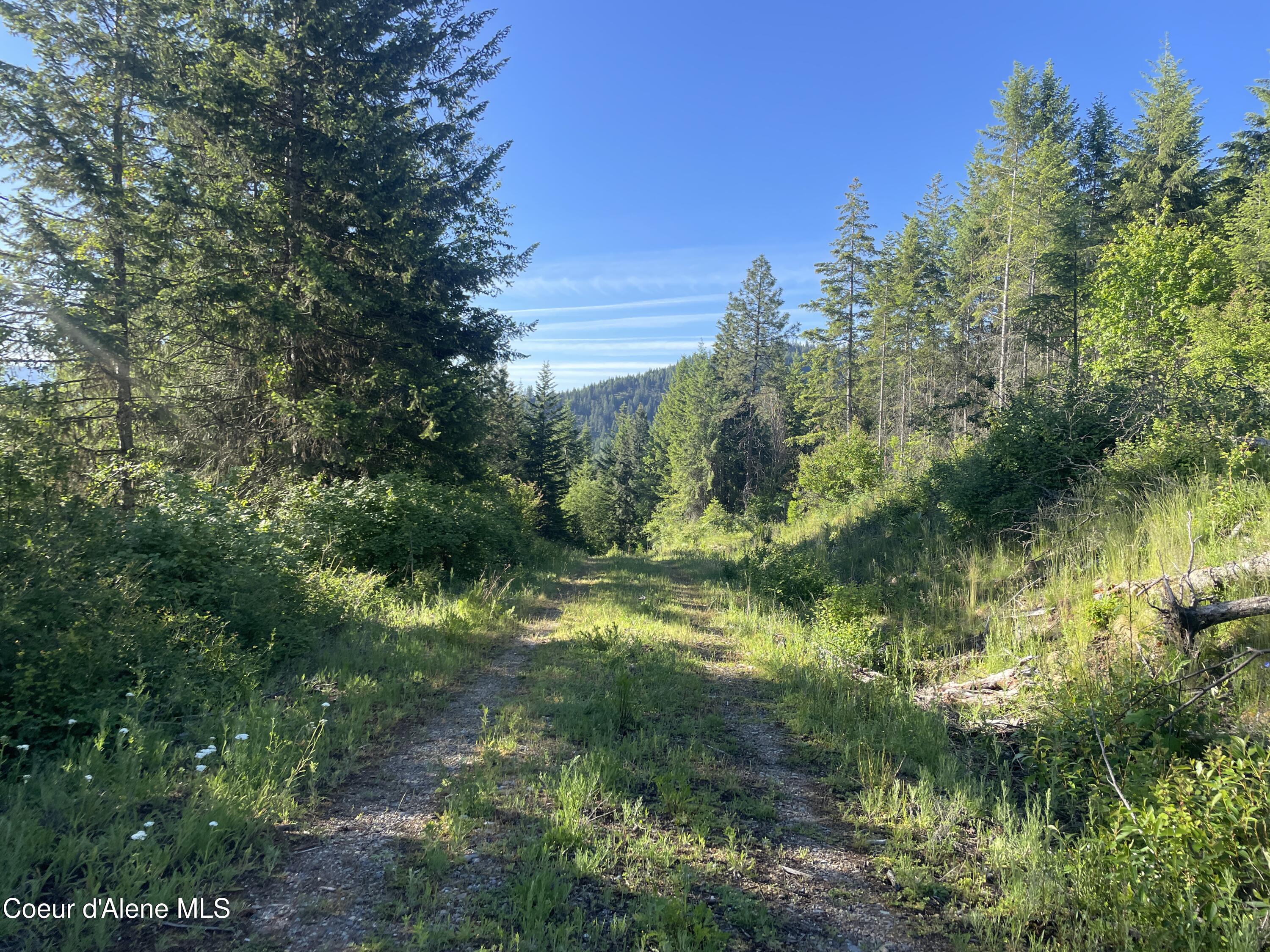 330 Living Waters Way, Priest River, Pennsylvania image 8