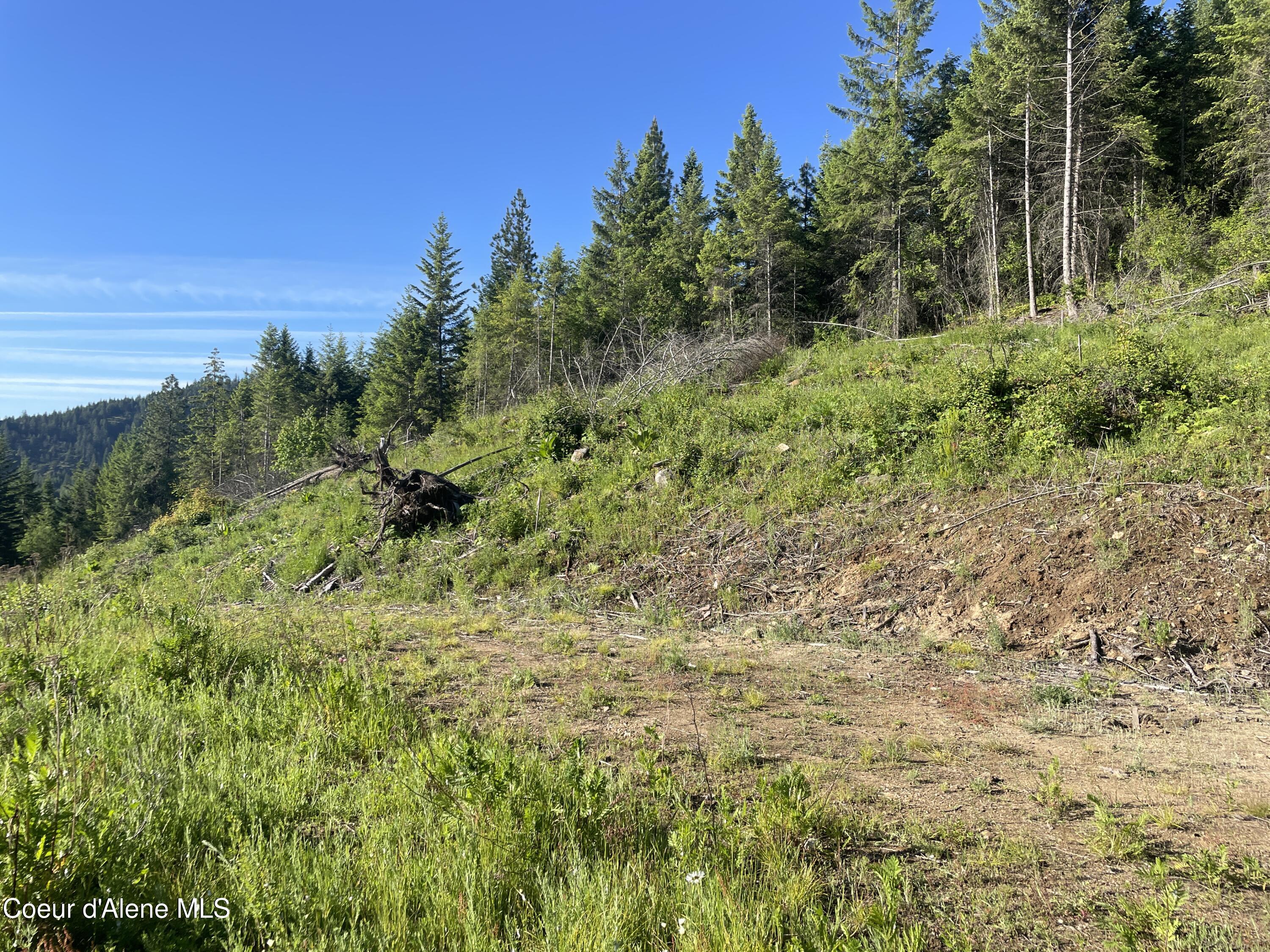 330 Living Waters Way, Priest River, Pennsylvania image 7