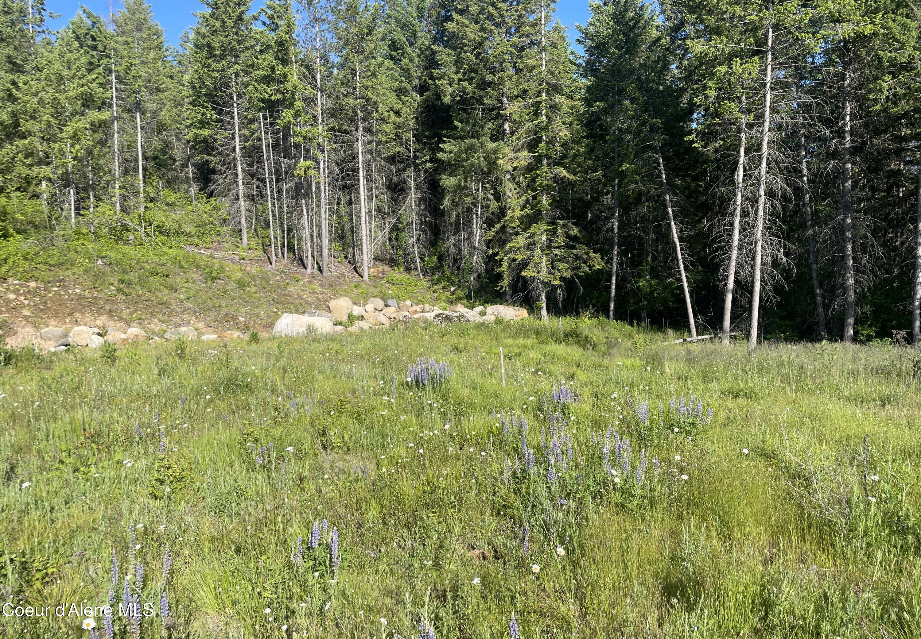 330 Living Waters Way, Priest River, Pennsylvania image 5