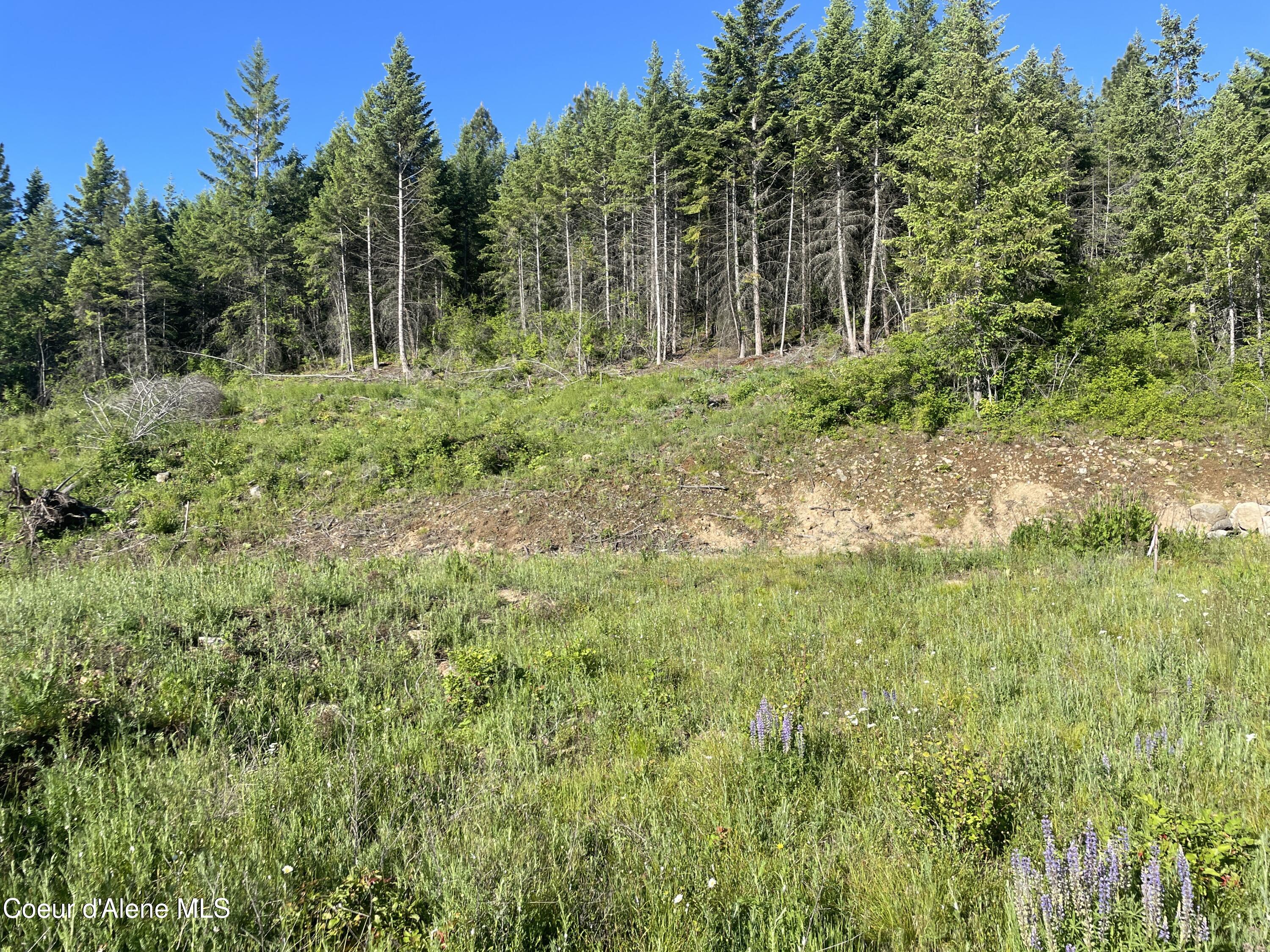 330 Living Waters Way, Priest River, Pennsylvania image 6