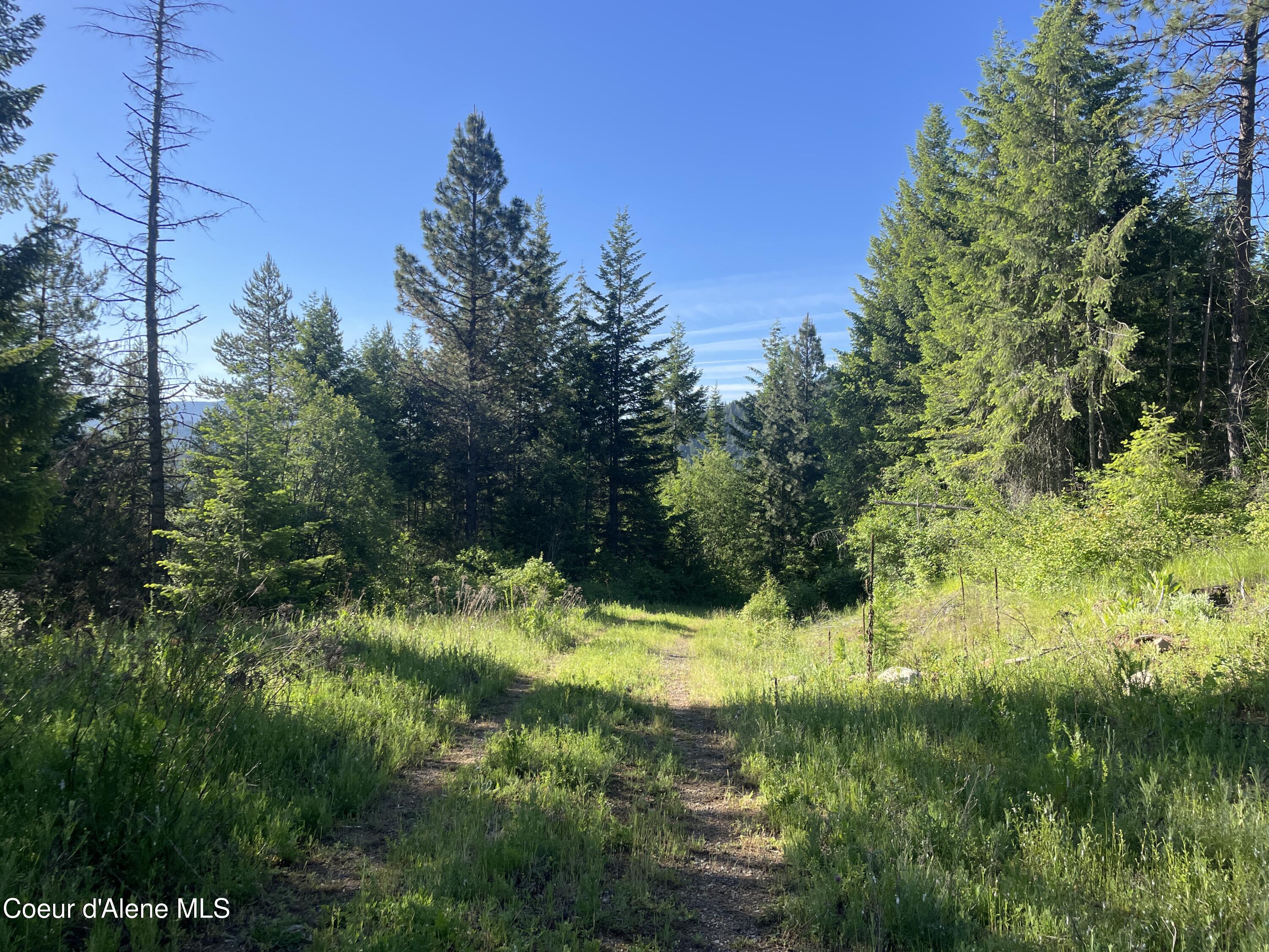 330 Living Waters Way, Priest River, Pennsylvania image 10