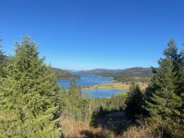 330 Living Waters Way, Priest River, Pennsylvania image 1