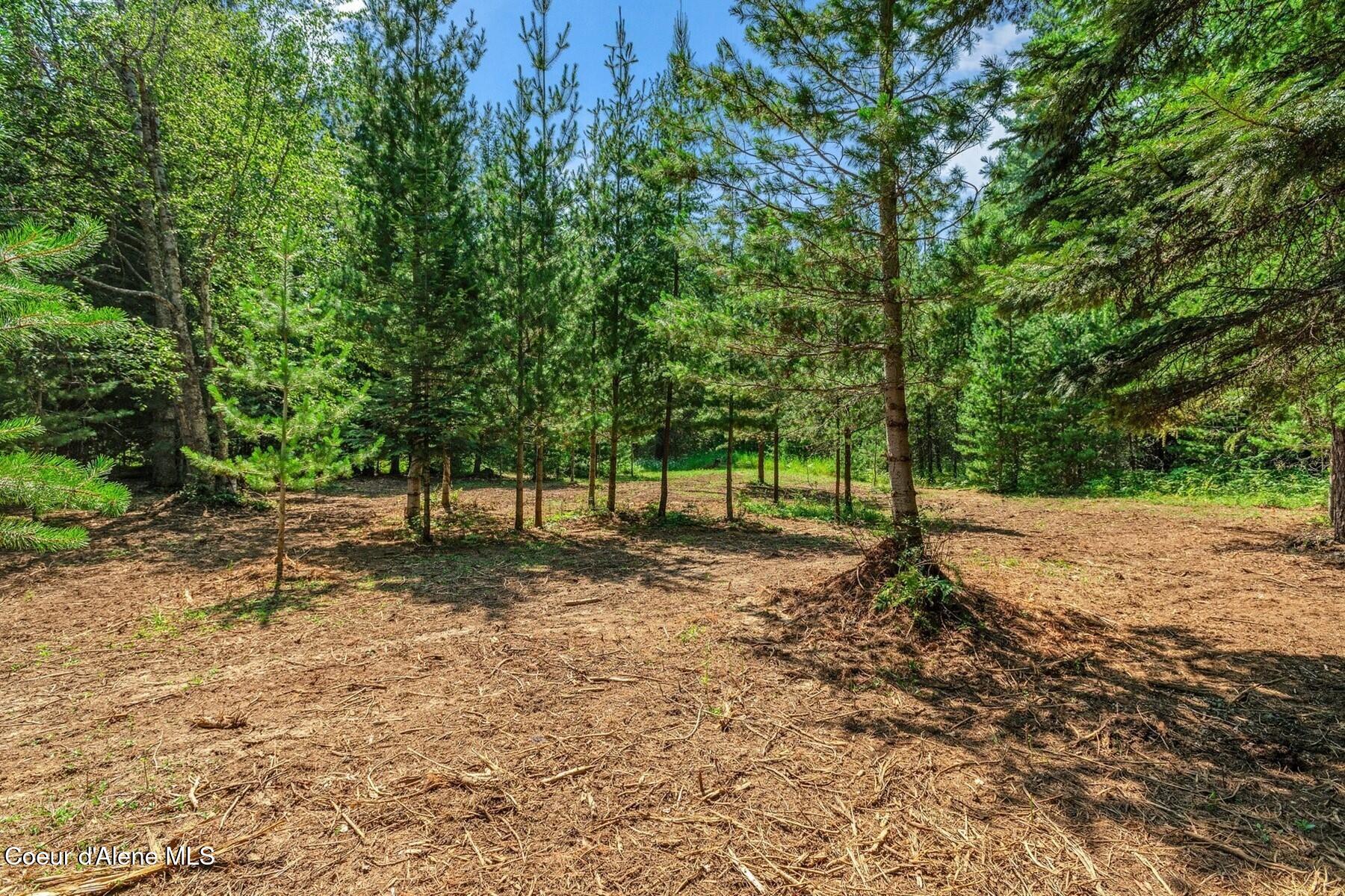 NNA Coyote Rd, Sandpoint, Idaho image 9