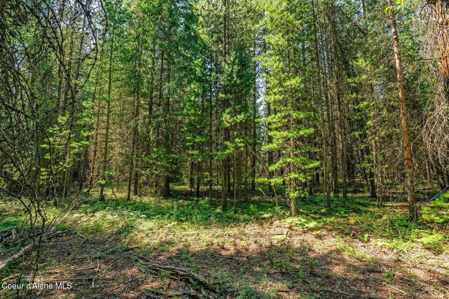 NNA Coyote Rd, Sandpoint, Idaho image 12