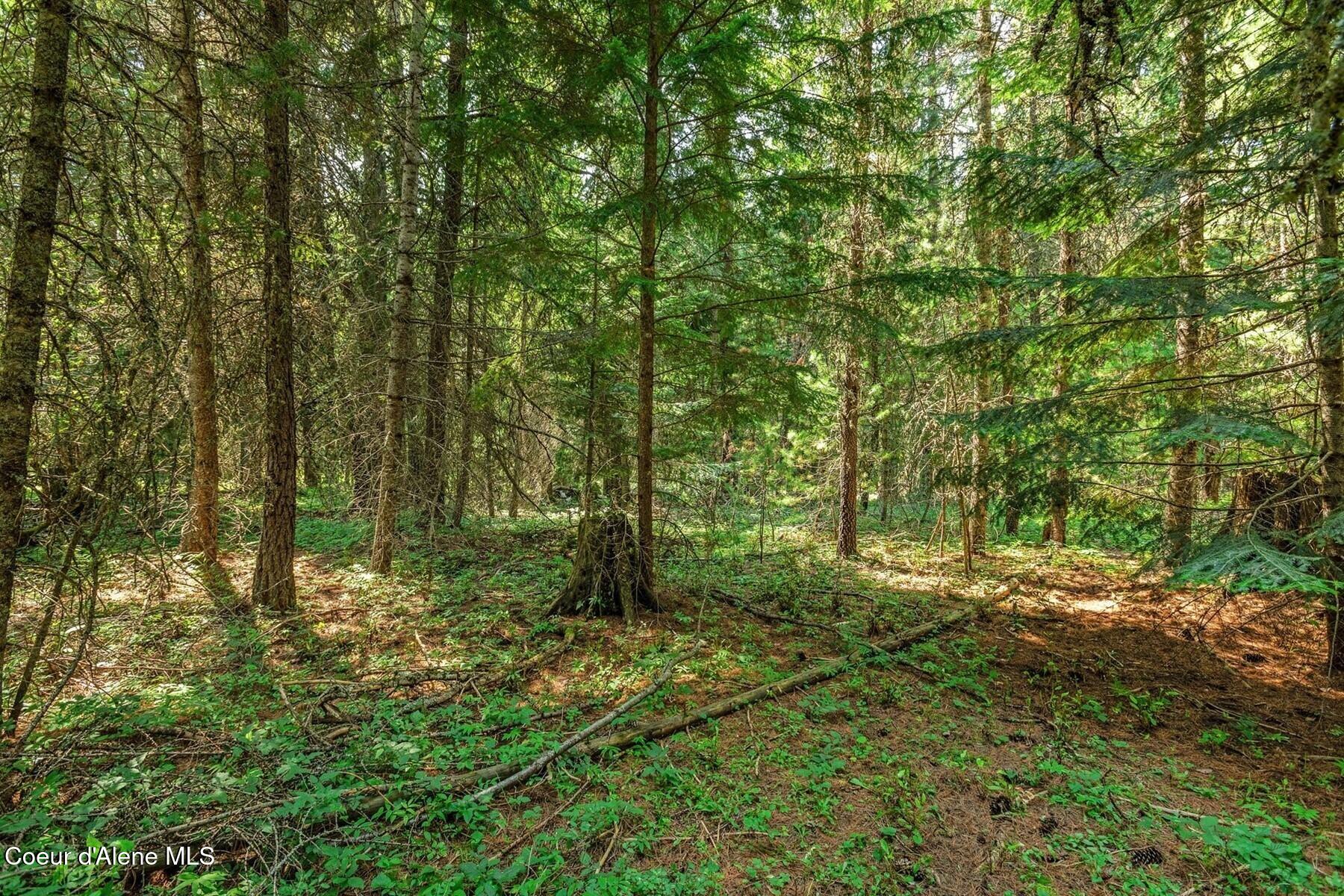 NNA Coyote Rd, Sandpoint, Idaho image 14