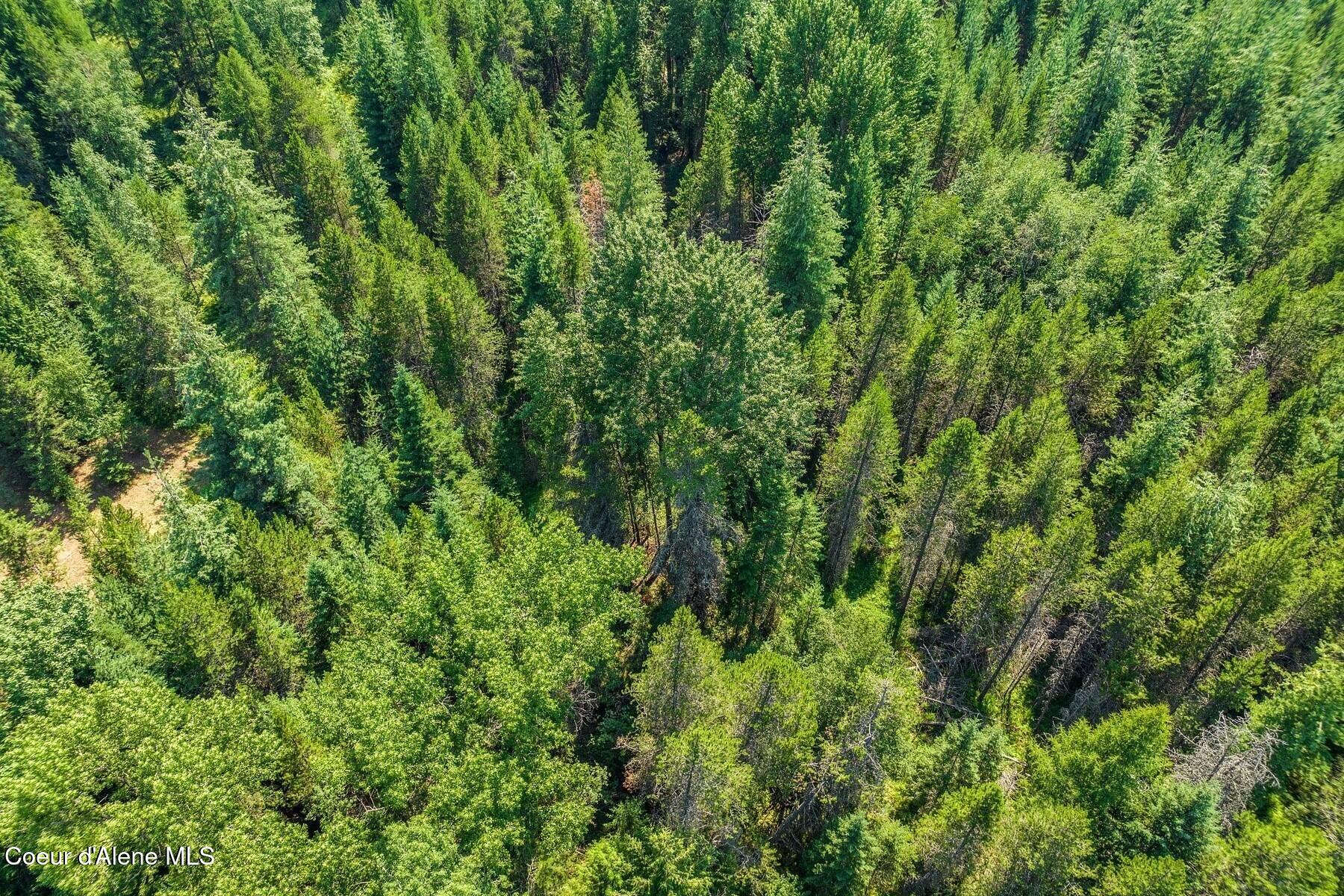 NNA Coyote Rd, Sandpoint, Idaho image 28