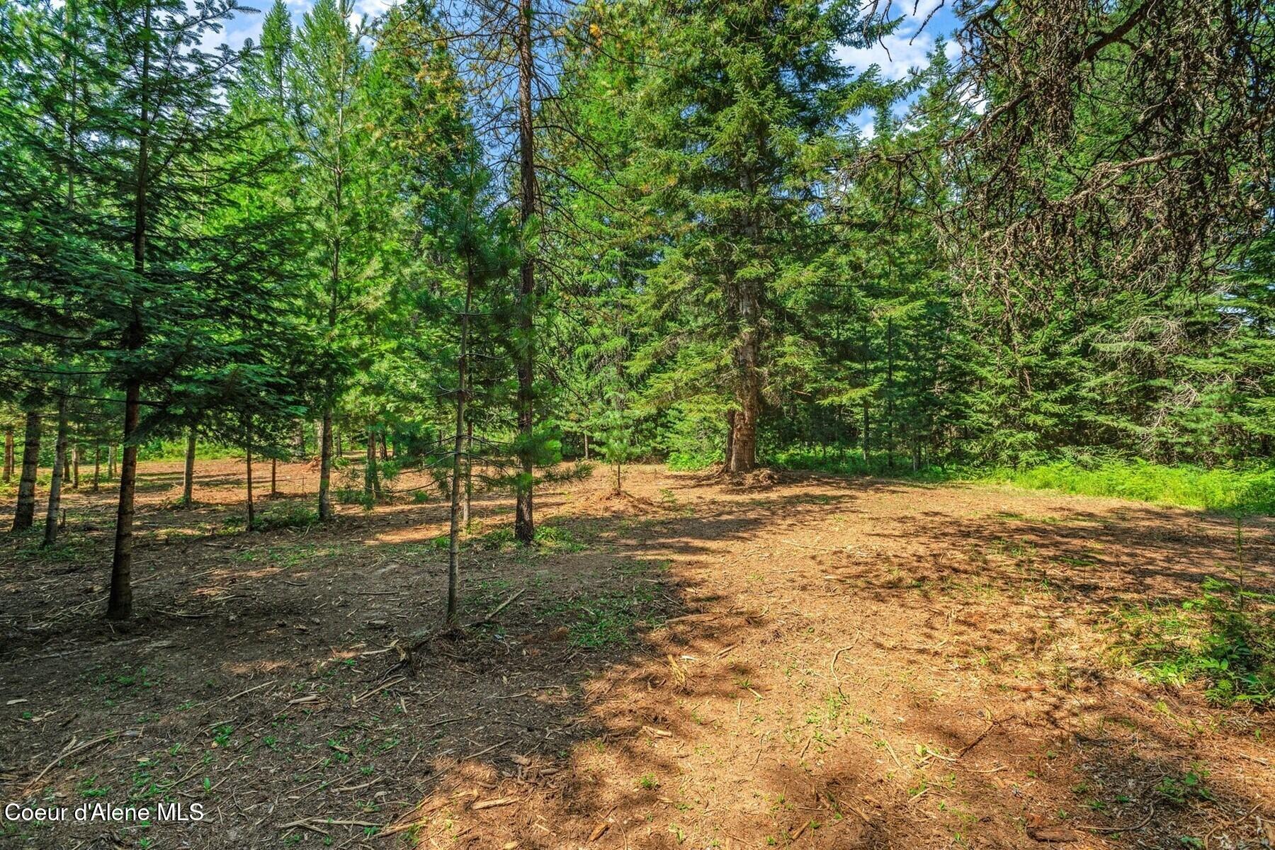 NNA Coyote Rd, Sandpoint, Idaho image 7