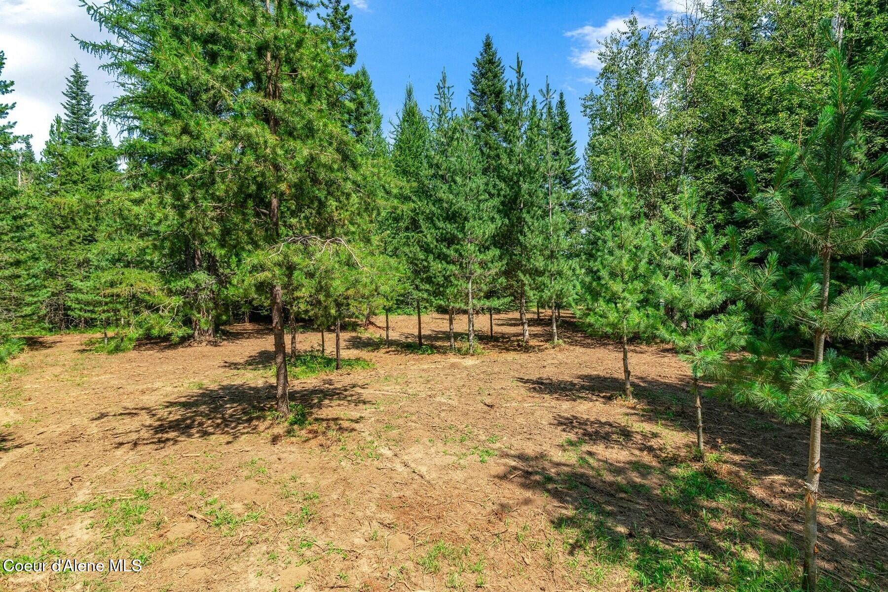 NNA Coyote Rd, Sandpoint, Idaho image 11
