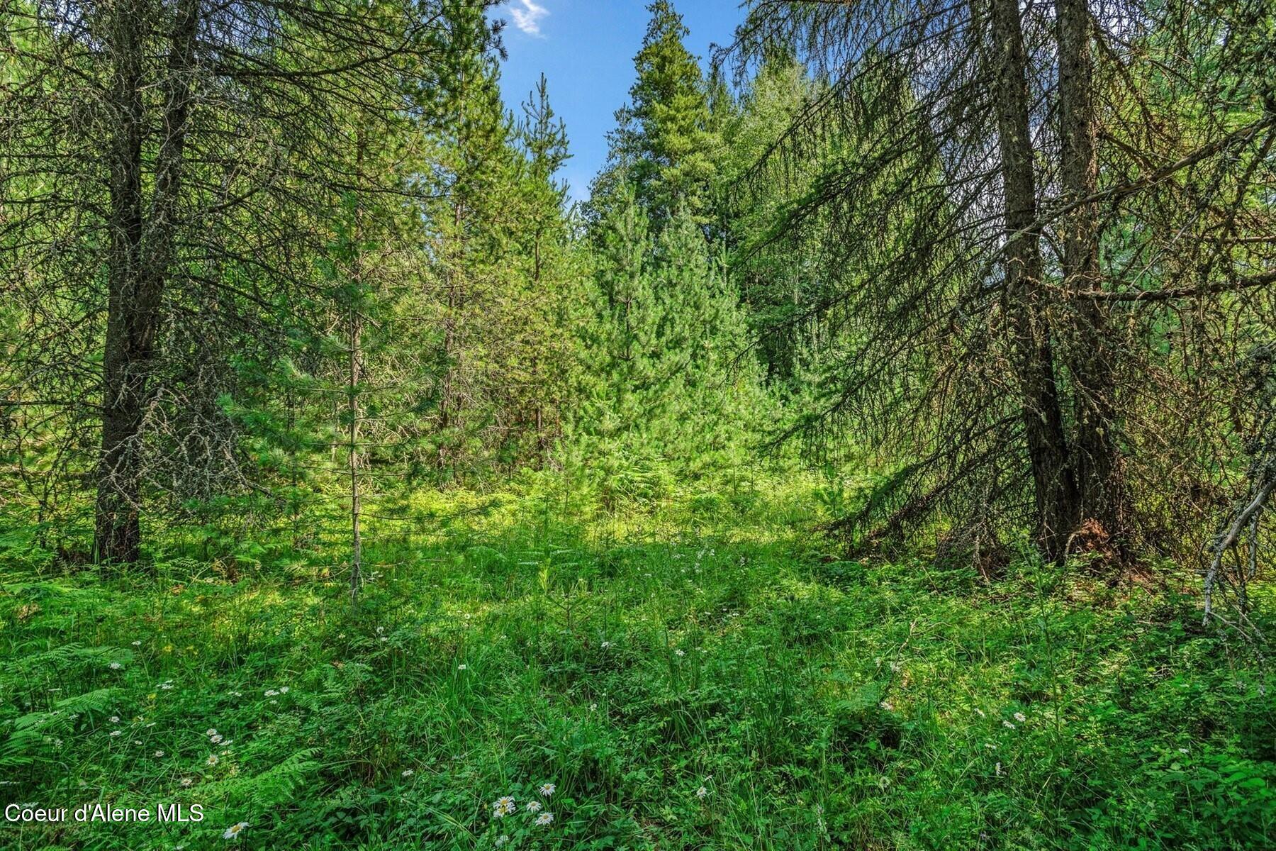 NNA Coyote Rd, Sandpoint, Idaho image 8