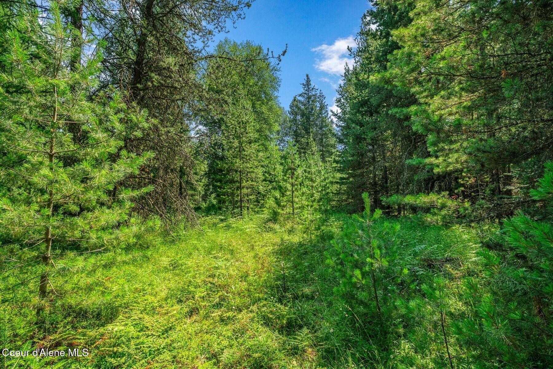 NNA Coyote Rd, Sandpoint, Idaho image 16