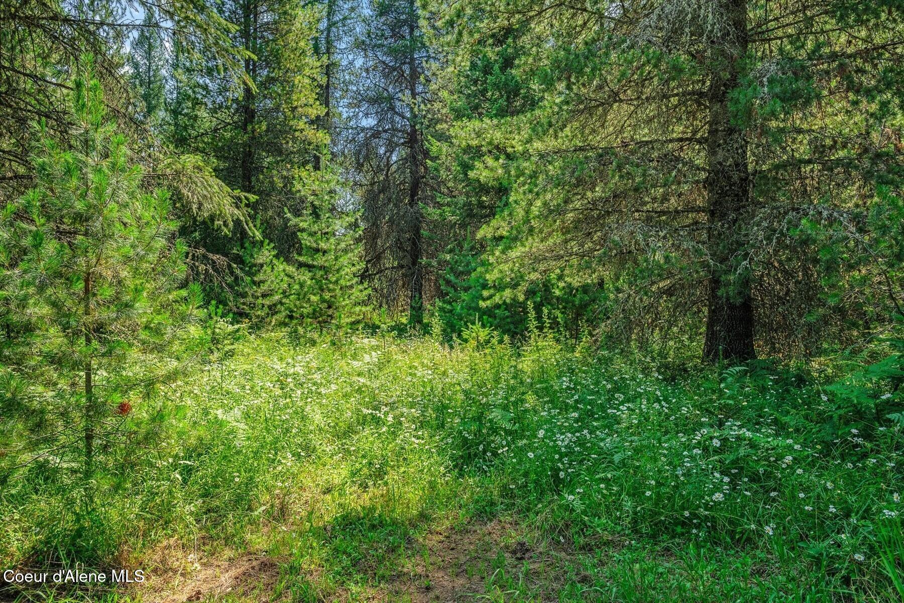 NNA Coyote Rd, Sandpoint, Idaho image 10