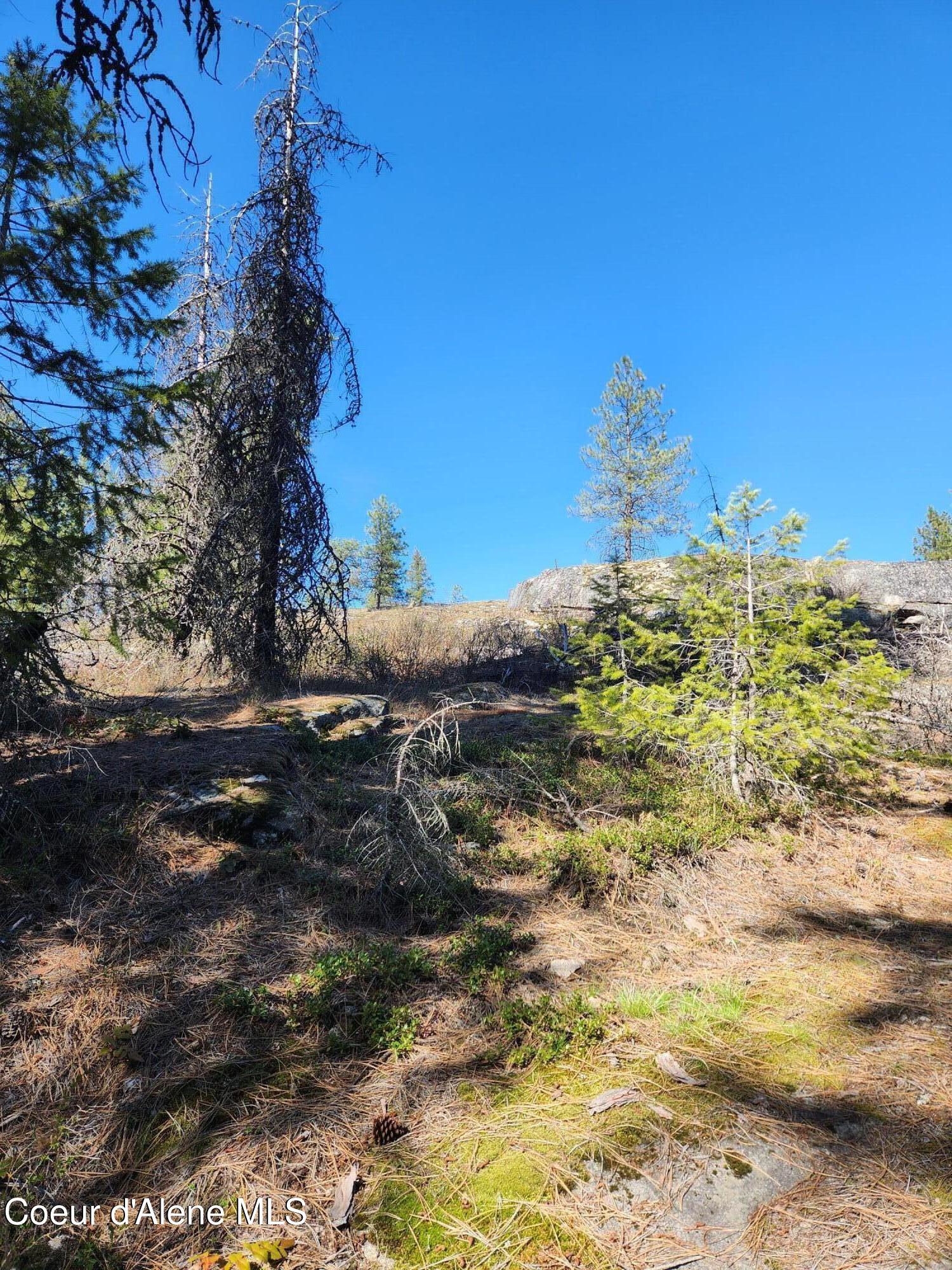 541 SE Granite Rd, Newport, Alaska image 4
