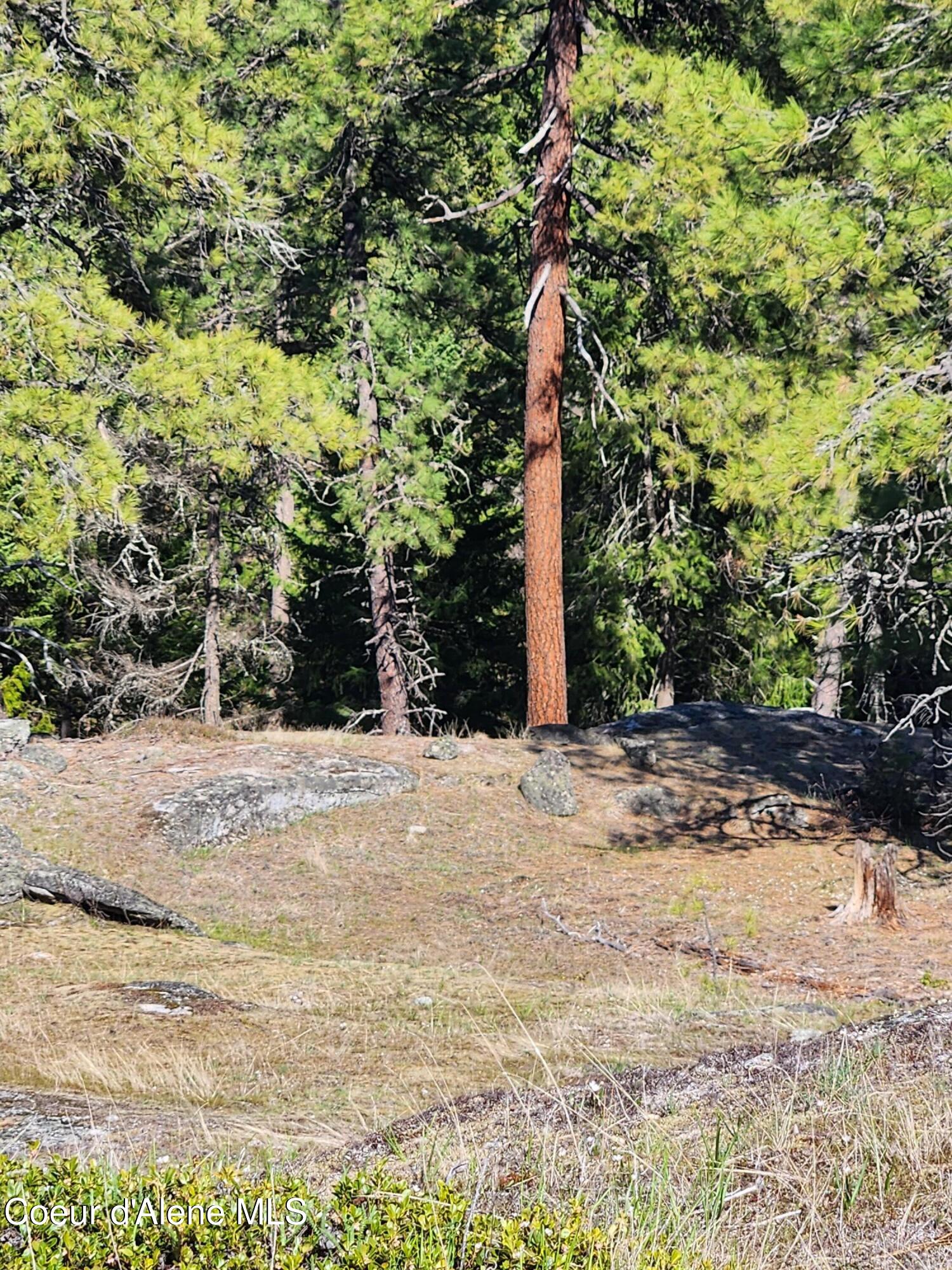541 SE Granite Rd, Newport, Alaska image 12