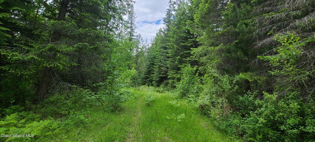 Photo of NNA Gold Creek Ridge Ridge, Sandpoint, ID 83864 (MLS # 26-5846)