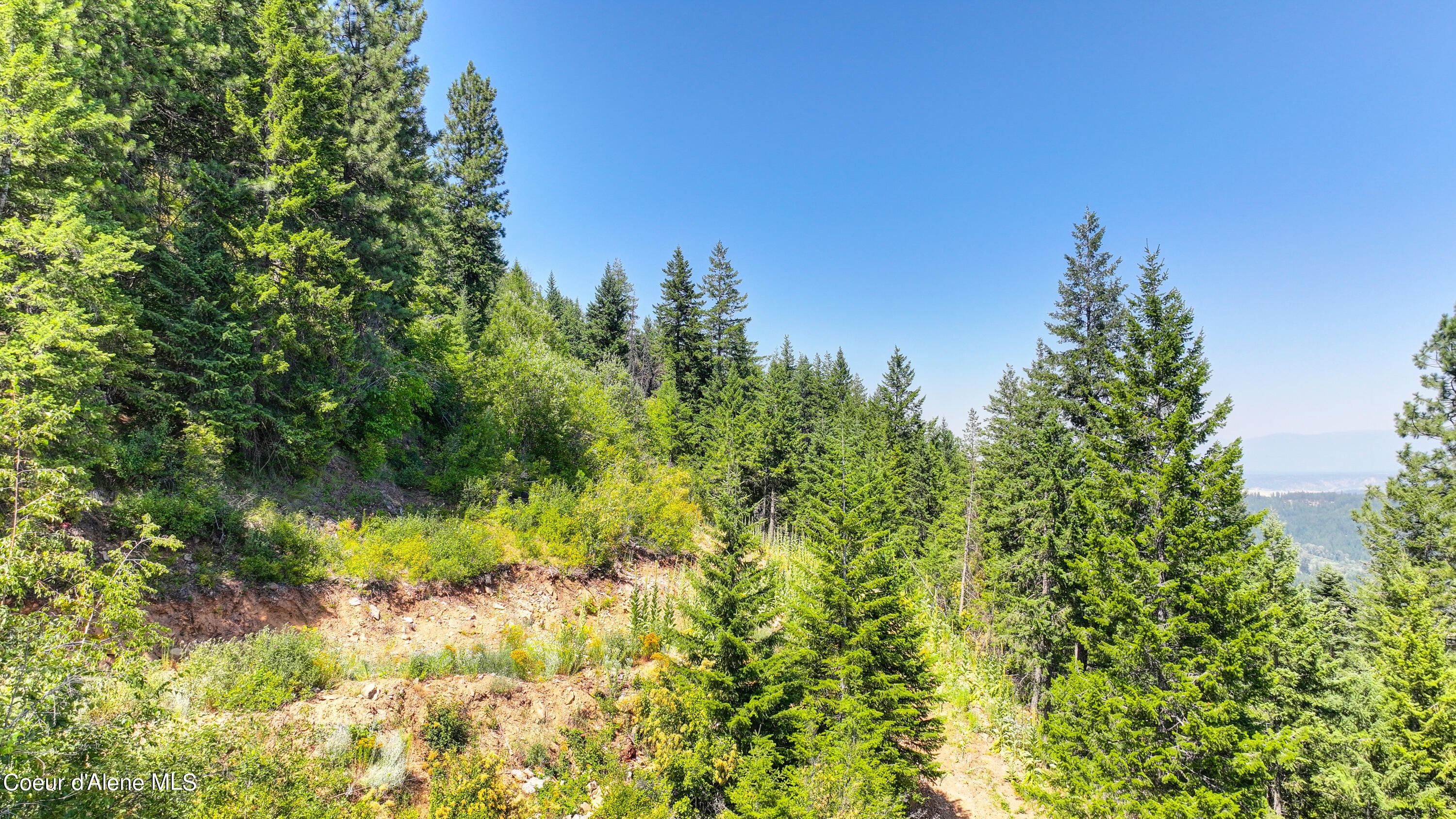 Naples, Idaho 83847, United States, ,Land,Active,241609