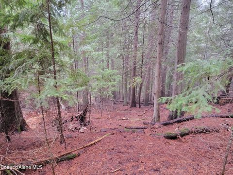 Vacant Land For Sale - Nka Terry Trail Trail<br/> Priest River, ID 83856