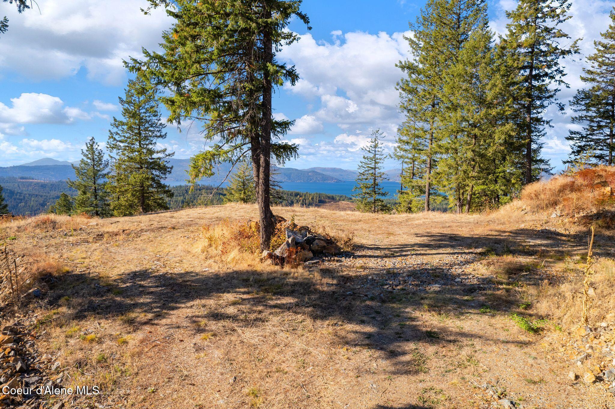 TBB T2 Green Monarch Ln, Sandpoint, Idaho image 10