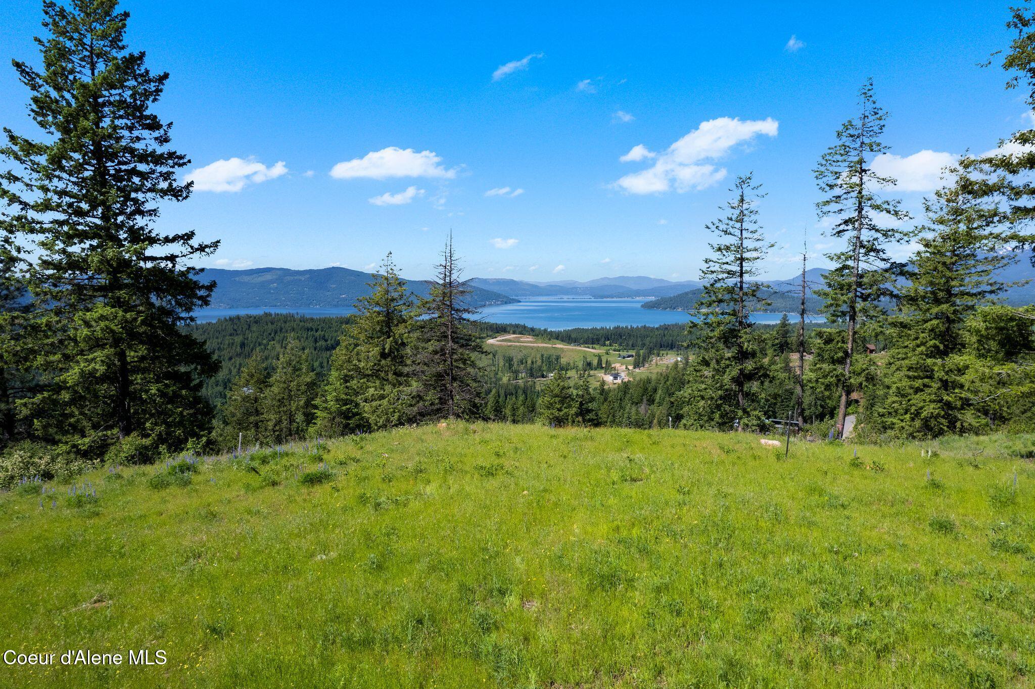 TBB T2 Green Monarch Ln, Sandpoint, Idaho image 10