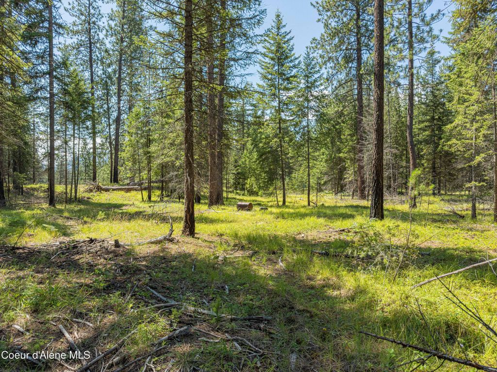 Photo of 631 Wolverine Rd, Moyie Springs, ID 83845 (MLS # 25-7942)