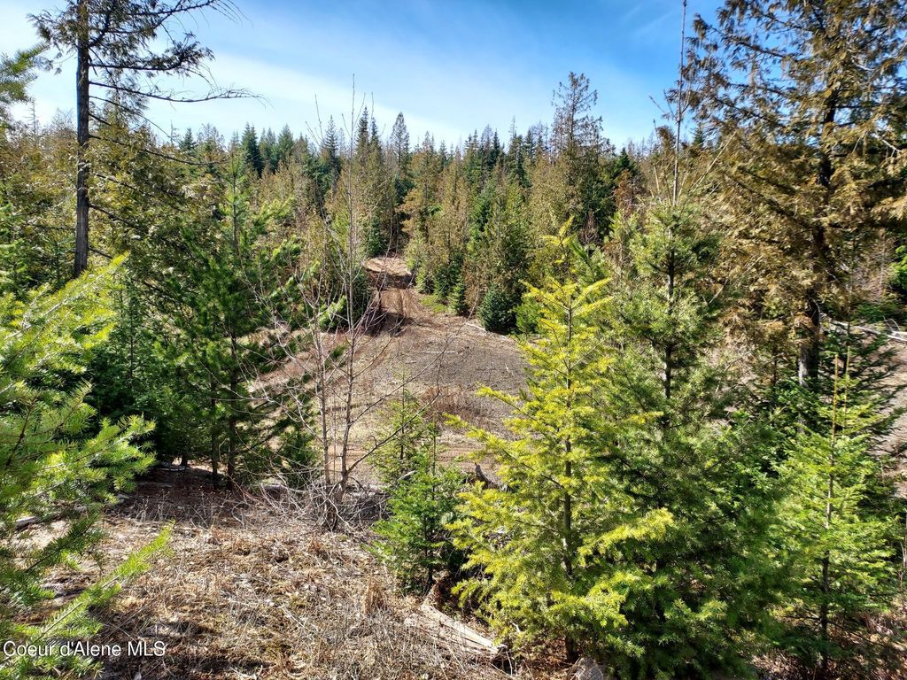 Photo of 2244 Whittum Rd, Priest River, ID 83856 (MLS # 26-4266)