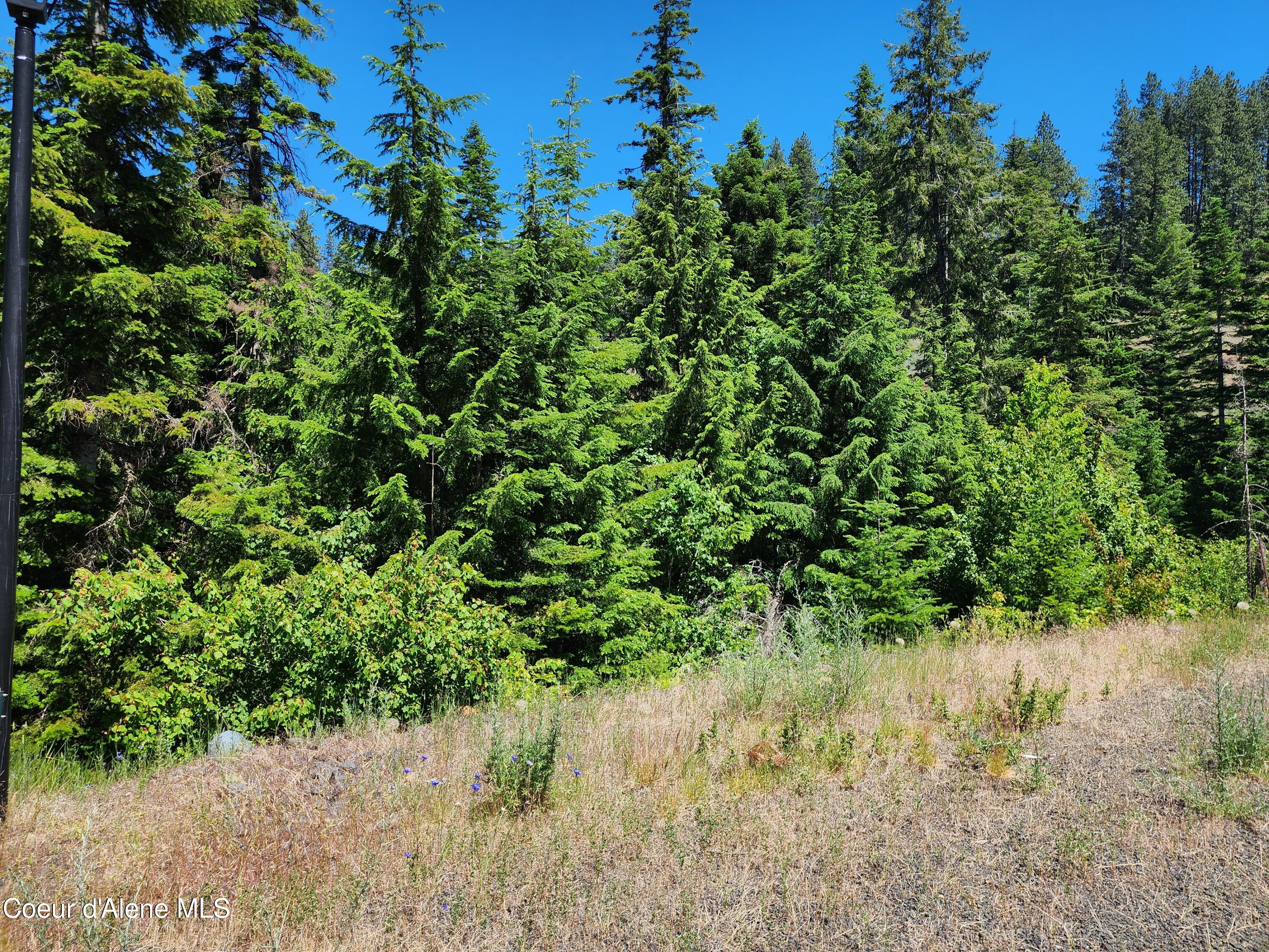 Lt 79 Blk3 S Turquoise Dr, Harrison, Idaho image 8