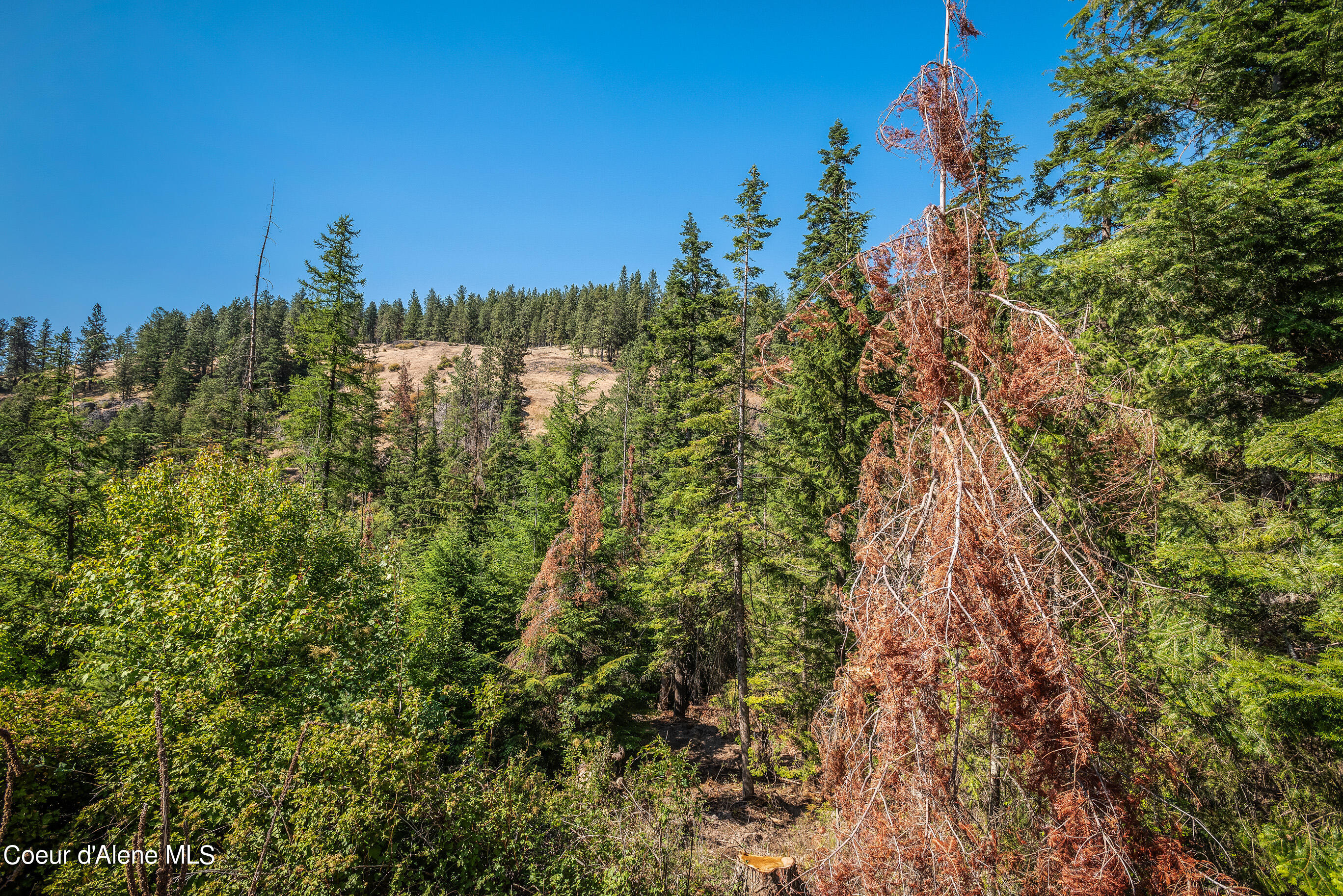 Lt 79 Blk3 S Turquoise Dr, Harrison, Idaho image 5